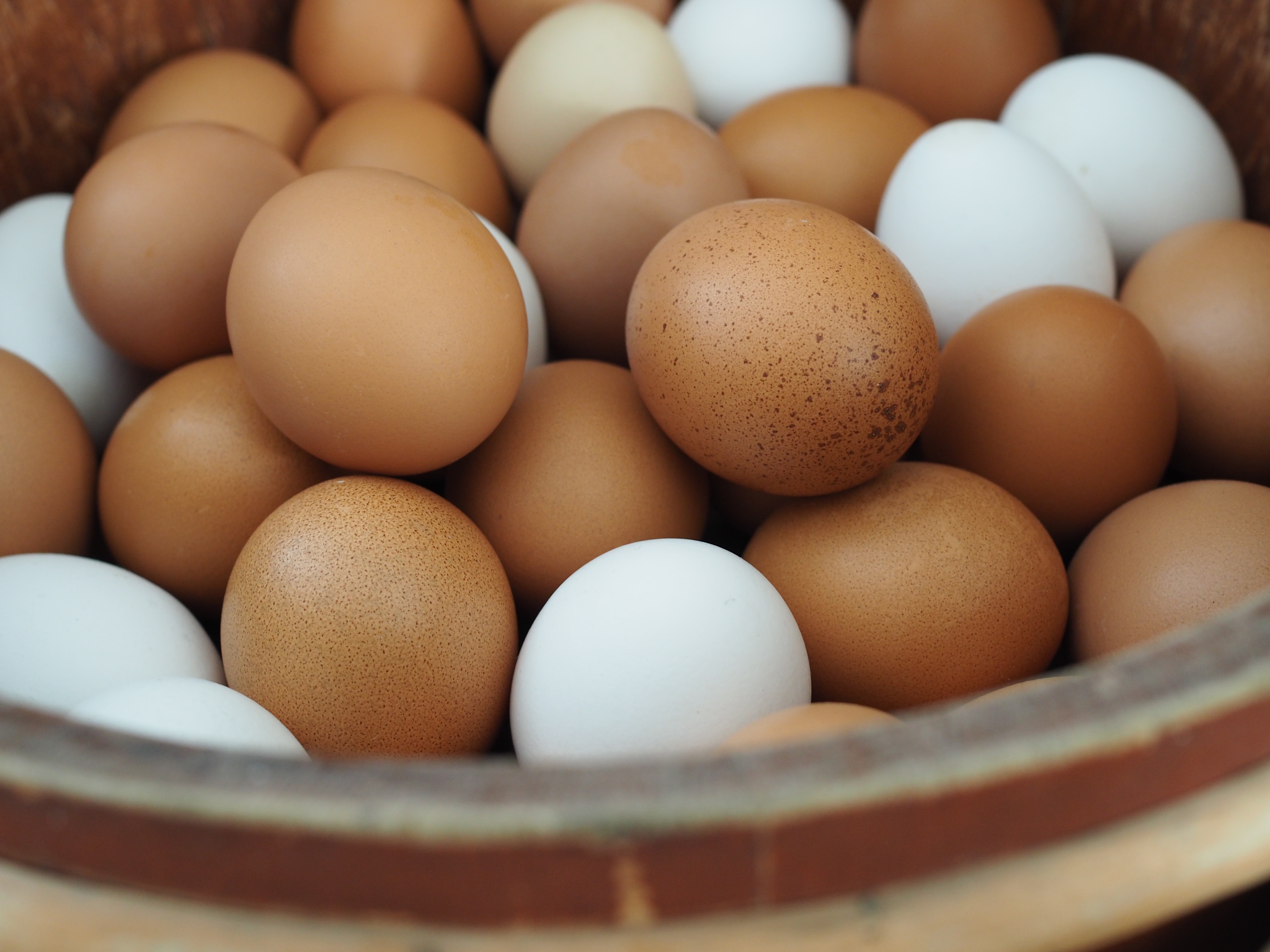 Baked Smoked Salmon and Eggs