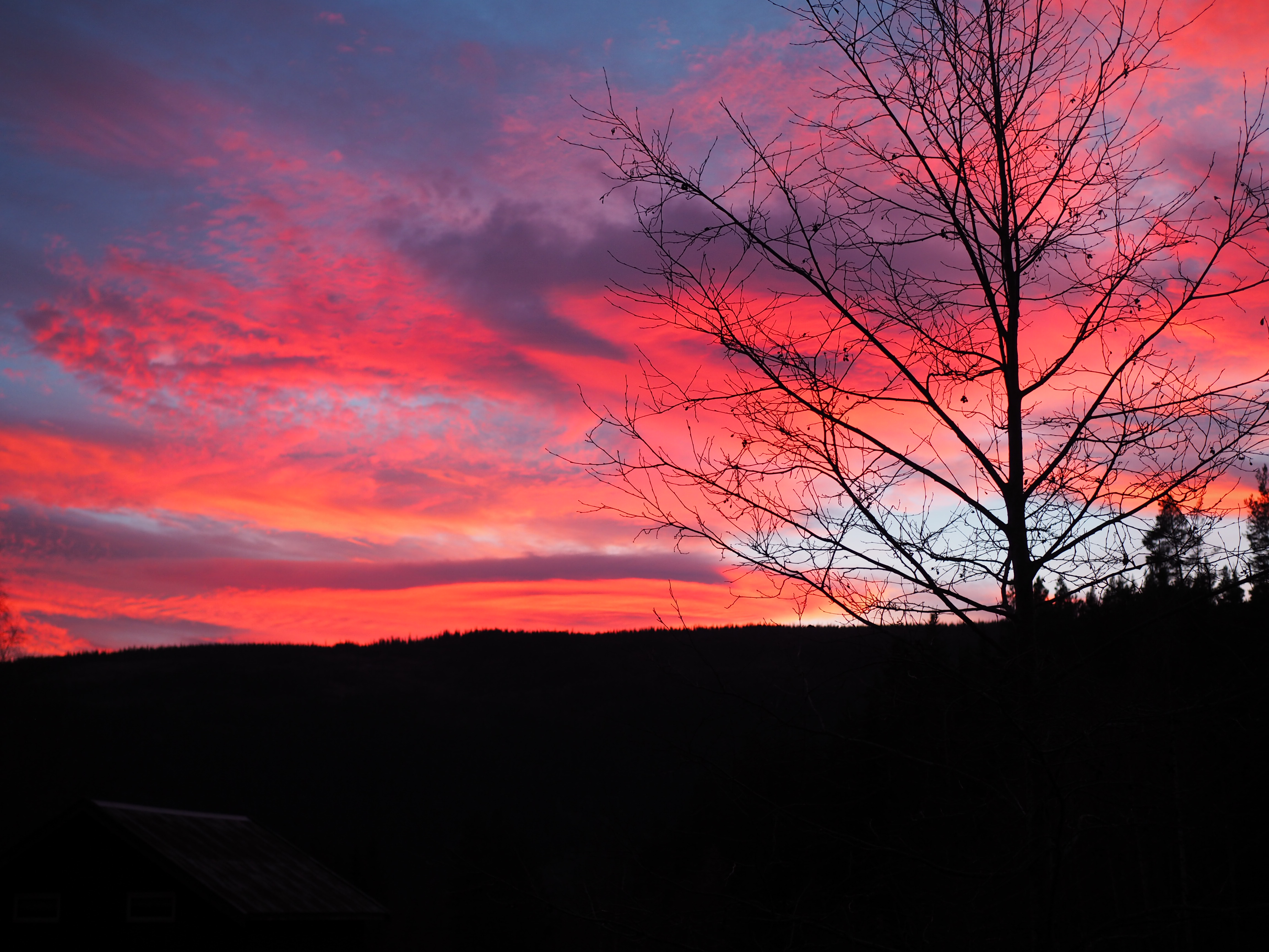 Sunset at North Wild Kitchen