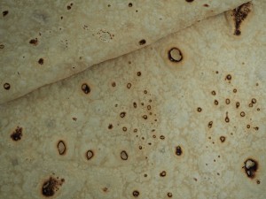 mollas-bakeri-rollag-norway-lefsa-kling