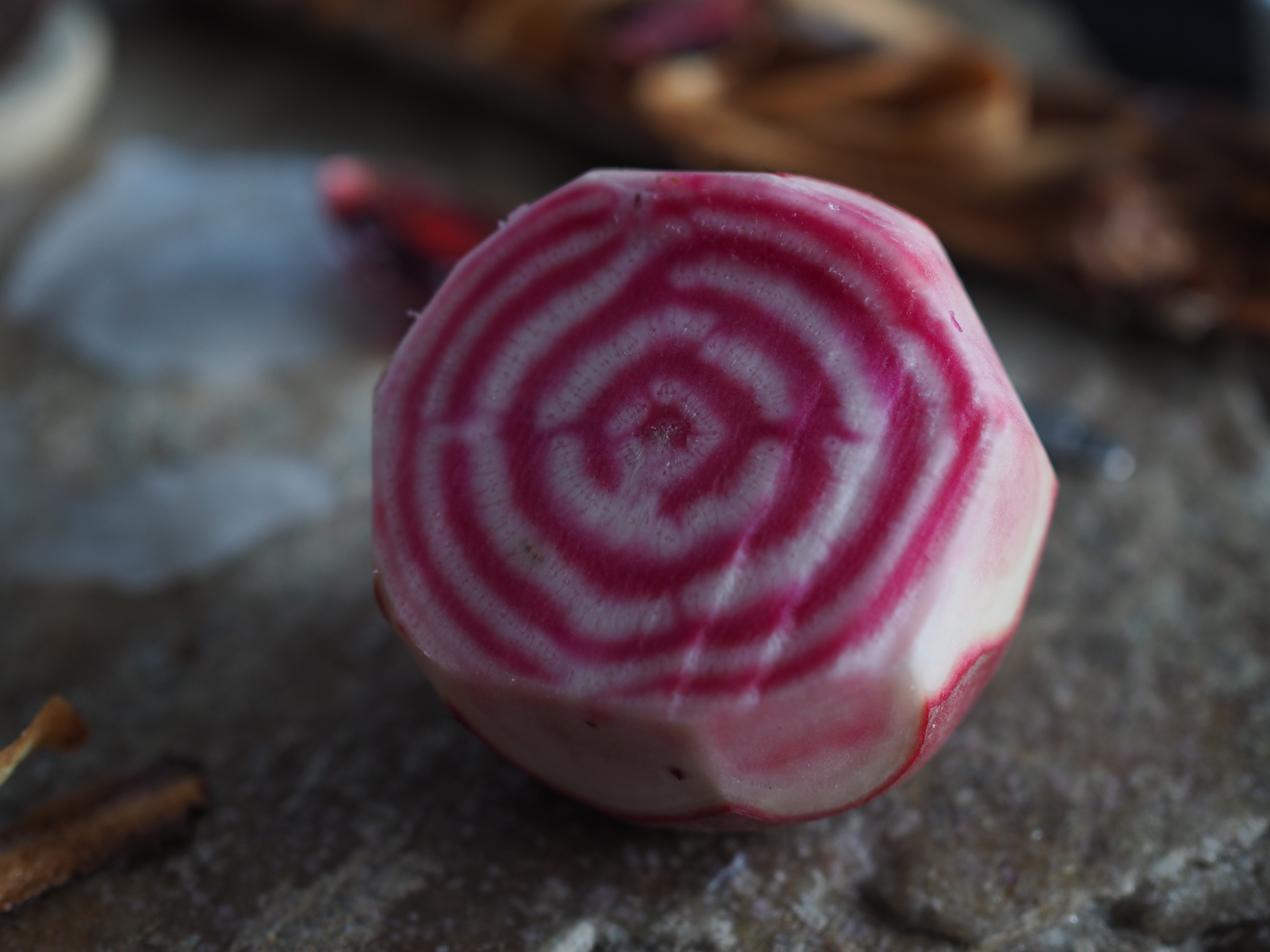 Wild Moose Burger with Forrest Berry Relish and Beetroot Chips