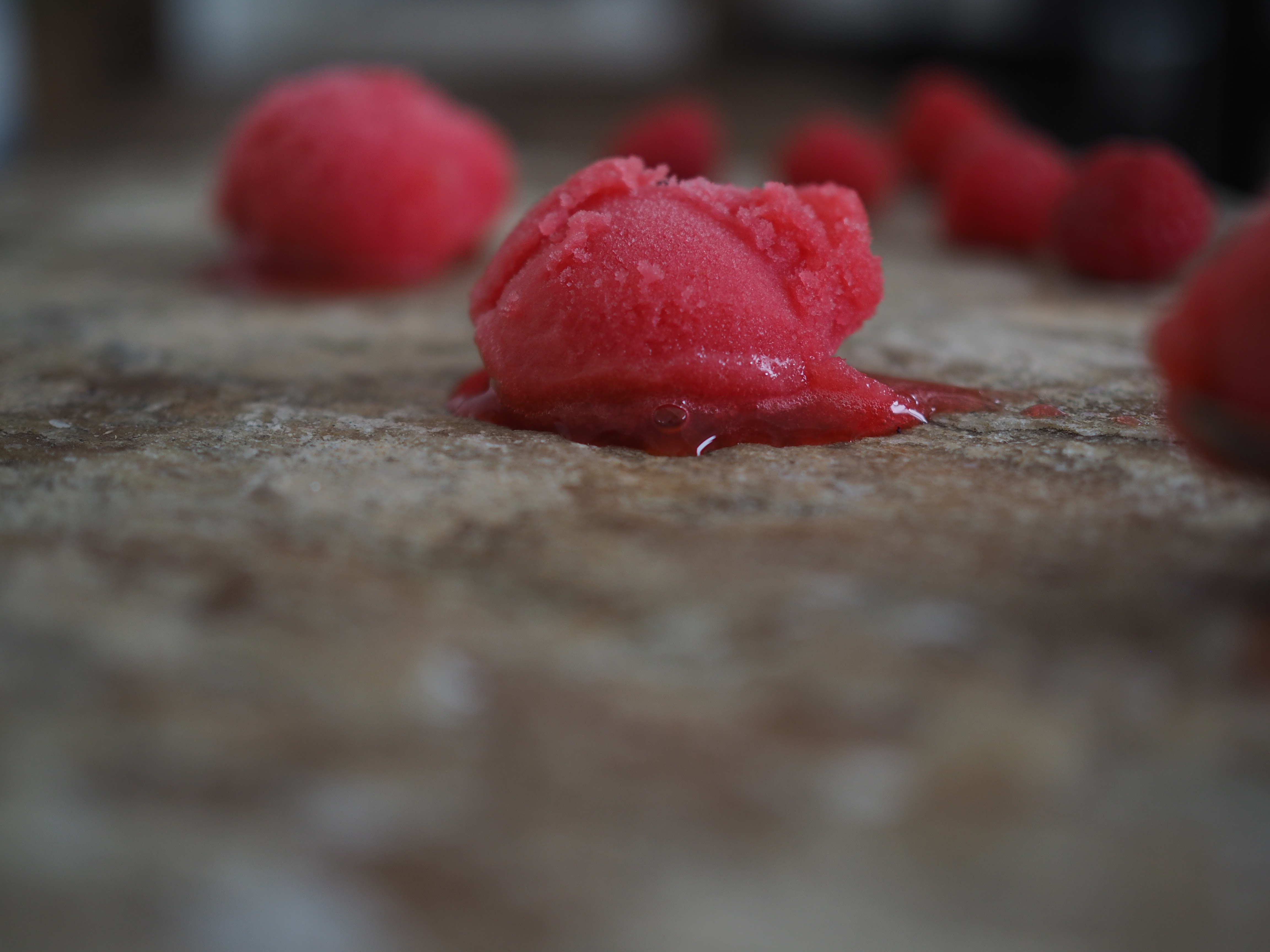 Aquavit, Raspberry and Cardamon Sorbet