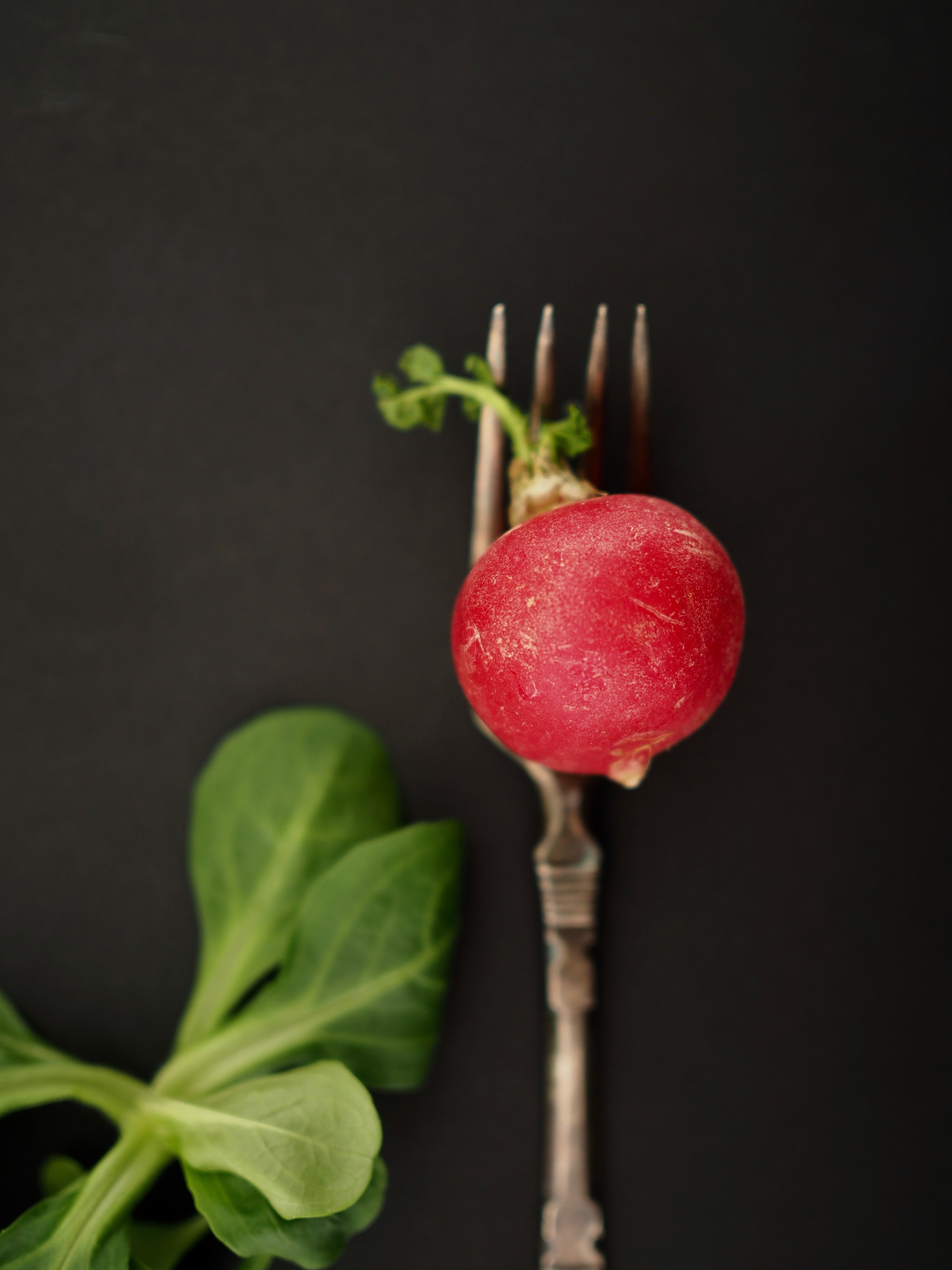 Pan-Seared Fish & Radish Salad with Slow Fried Potatoes