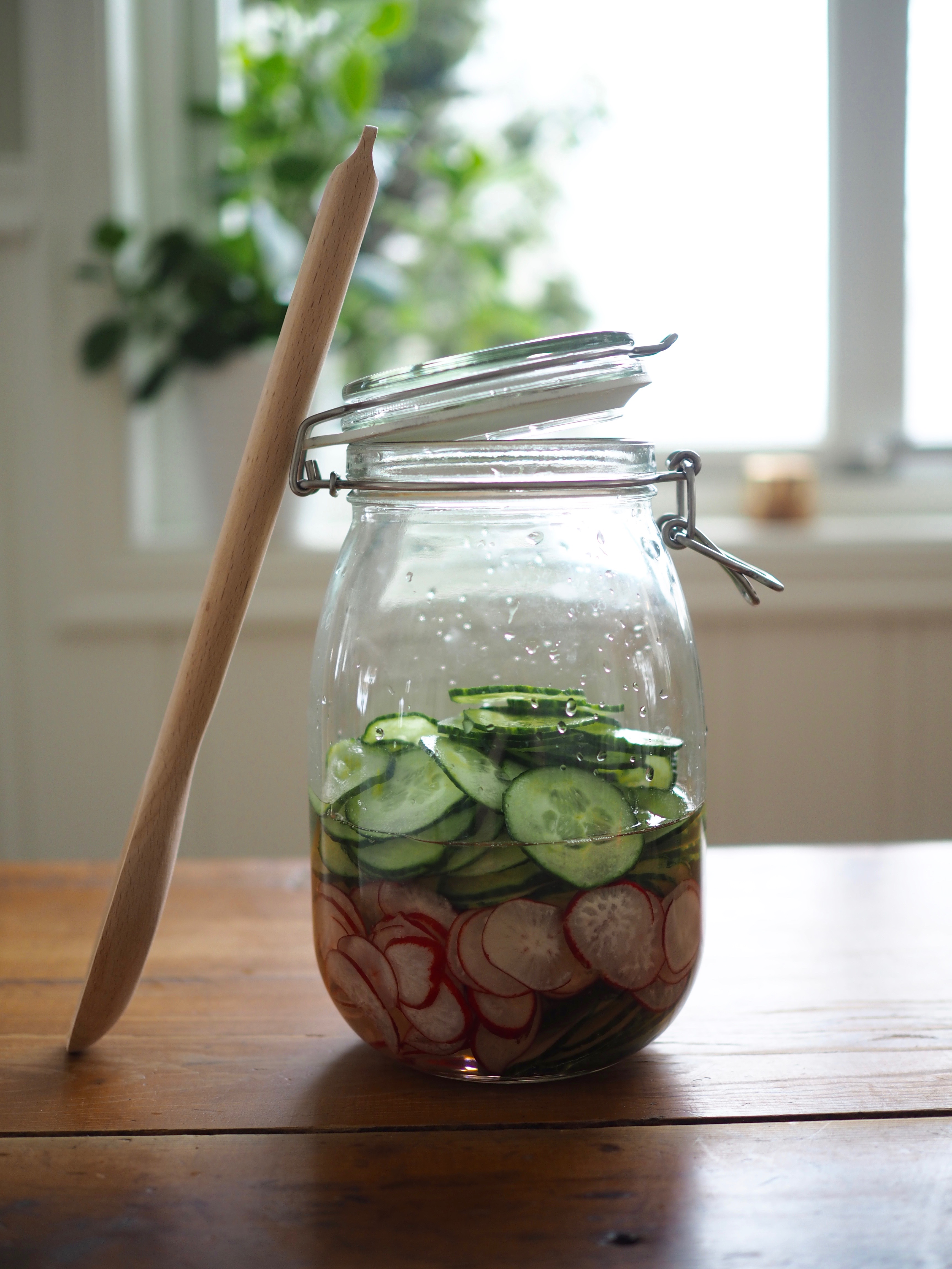 Norwwegian Cucumber & Radish Salad