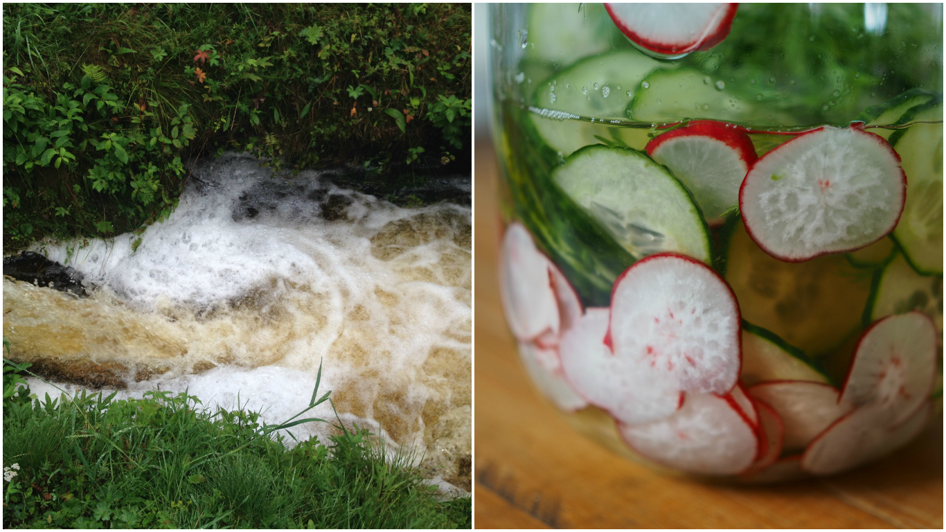 Norwegian Cucumber & Radish Salad