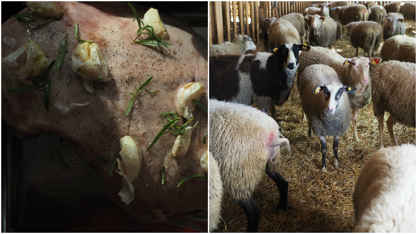 Paske lamb with orange & dill sauce