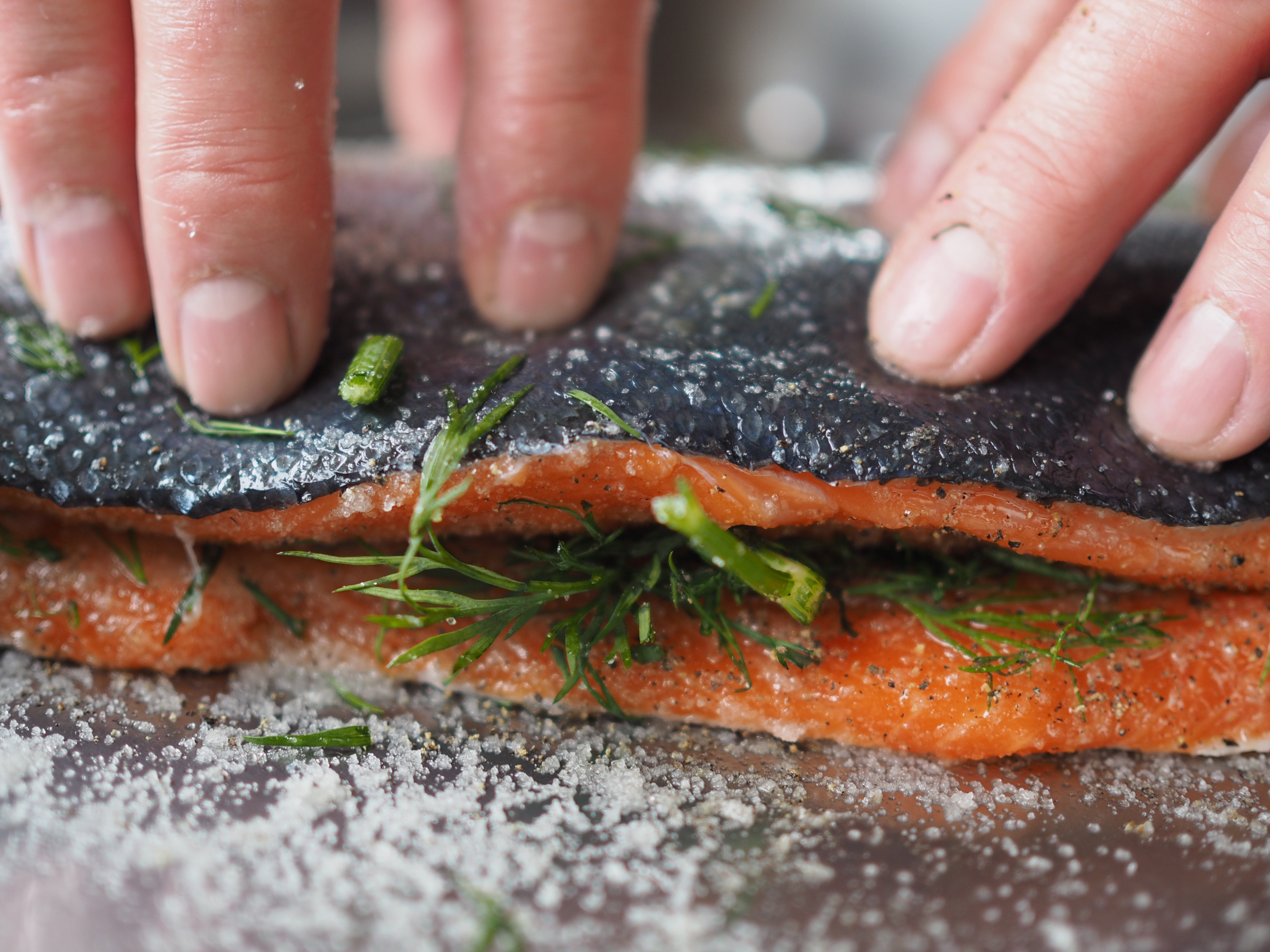 Norwegian gravlax with dill-stewed potatoes and served with a classic mustard sauce (Gravlaks med sennepssaus og dillstuede poteter)