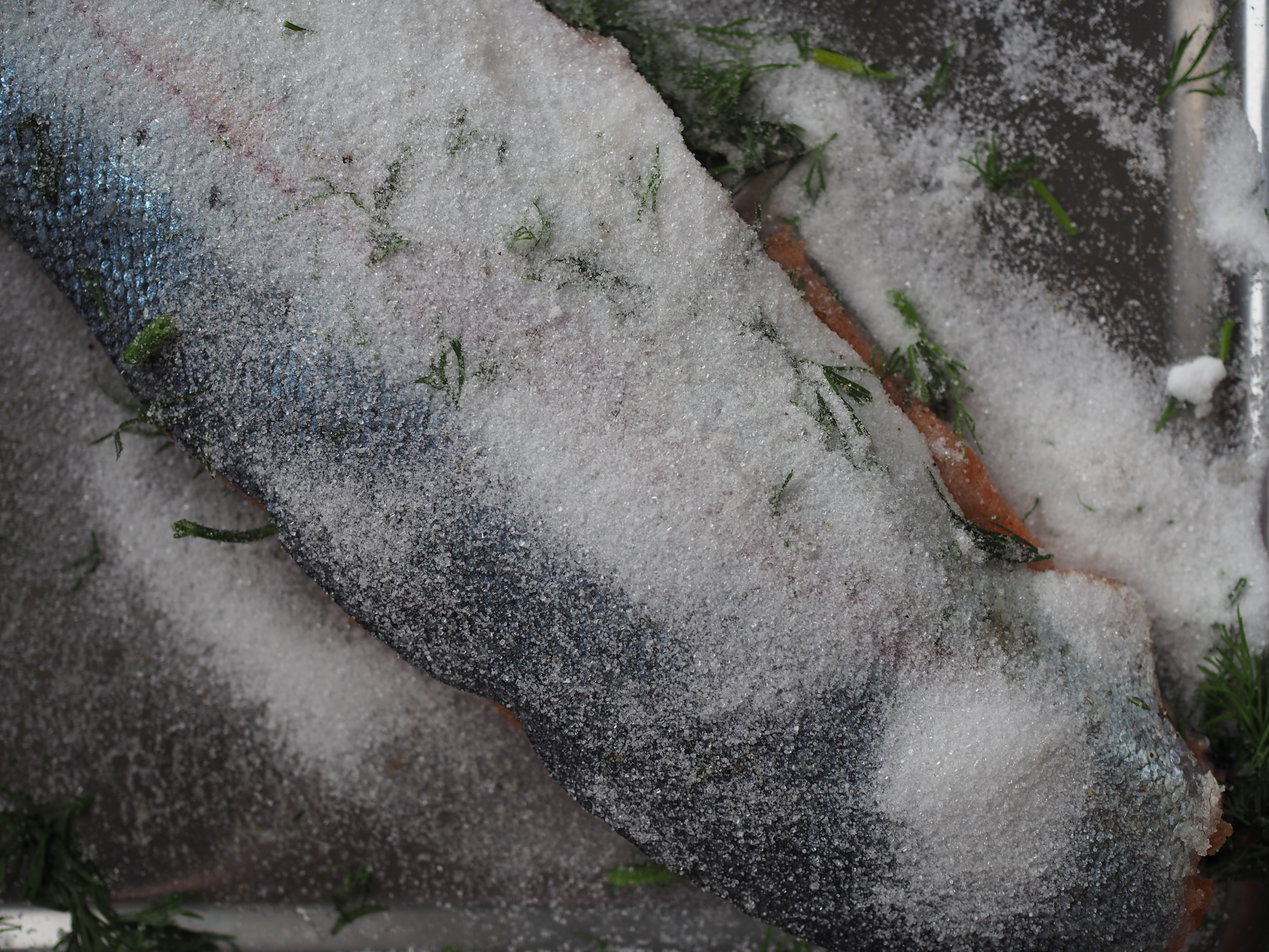 Norwegian gravlax with dill-stewed potatoes and served with a classic mustard sauce (Gravlaks med sennepssaus og dillstuede poteter)