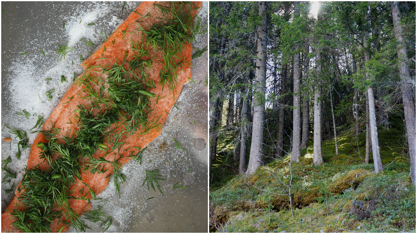 Norwegian gravlax with dill-stewed potatoes and served with a classic mustard sauce (Gravlaks med sennepssaus og dillstuede poteter)