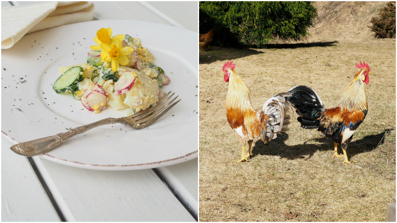 Norwegian Spring Potato Salad