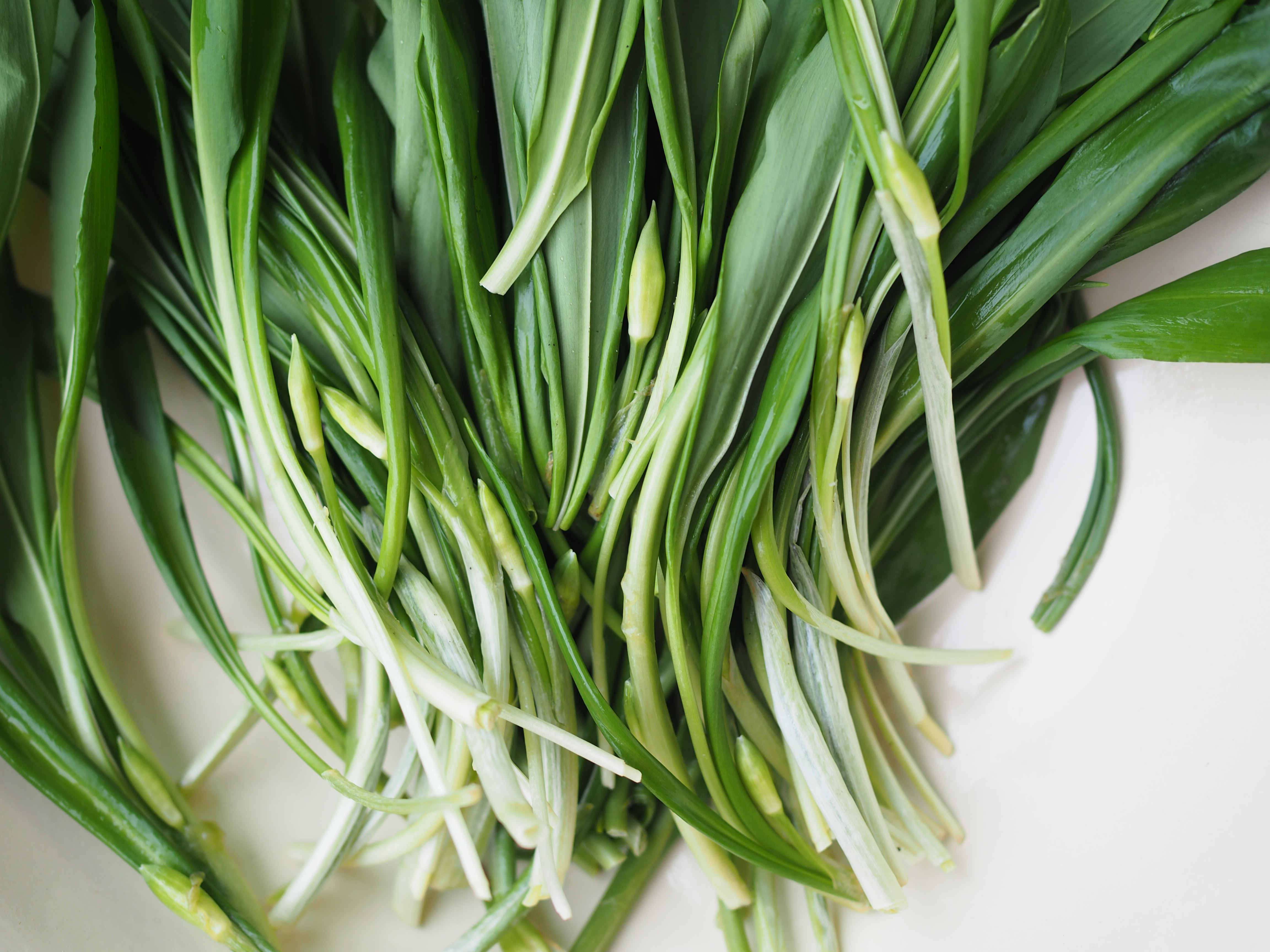 Wild Garlic Soup and Wild Garlic Potato Bread ( Ramsløksuppe og Ramsløkbrød)