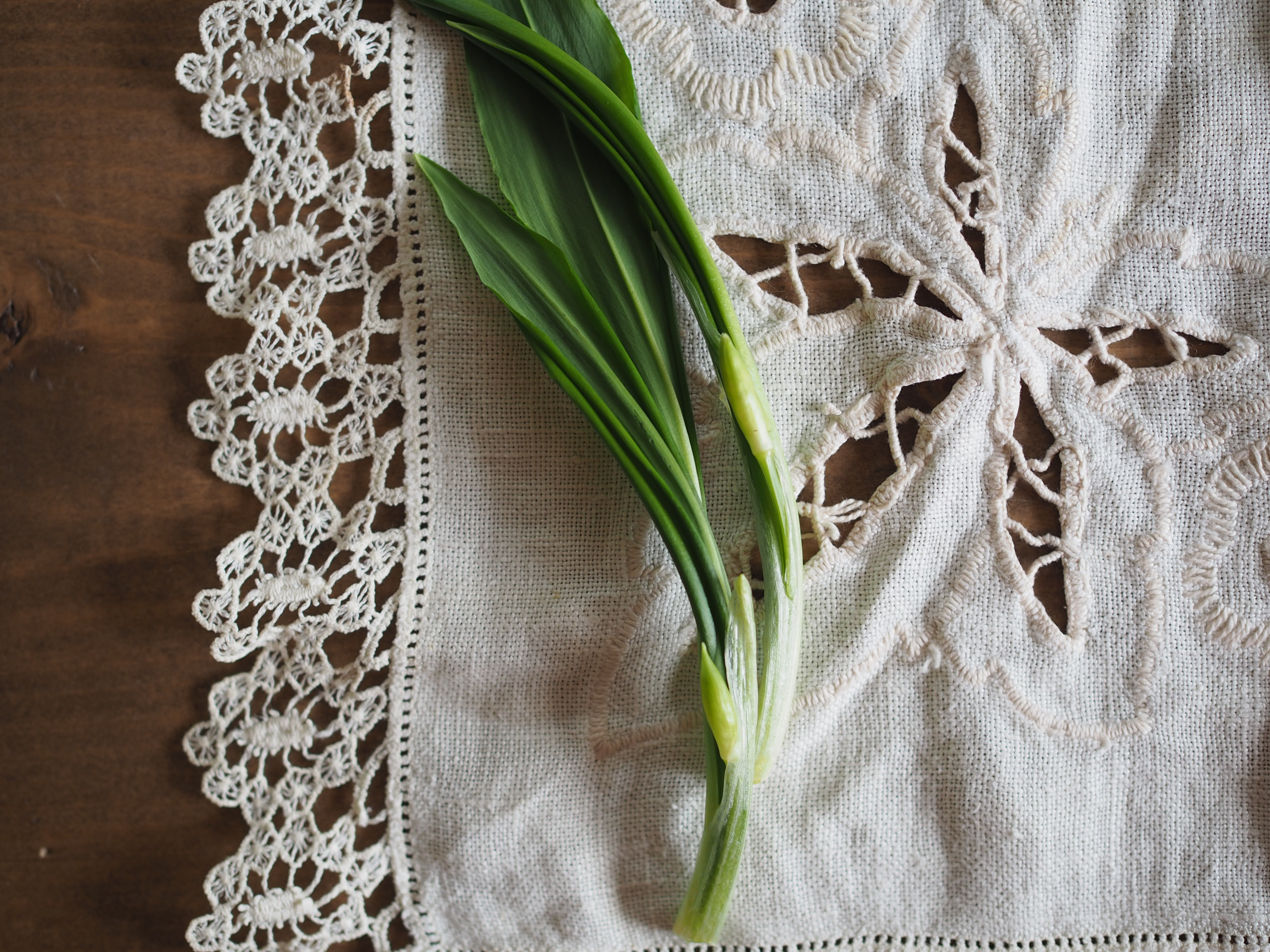 Wild Garlic Soup and Wild Garlic Potato Bread ( Ramsløksuppe og Ramsløkbrød)