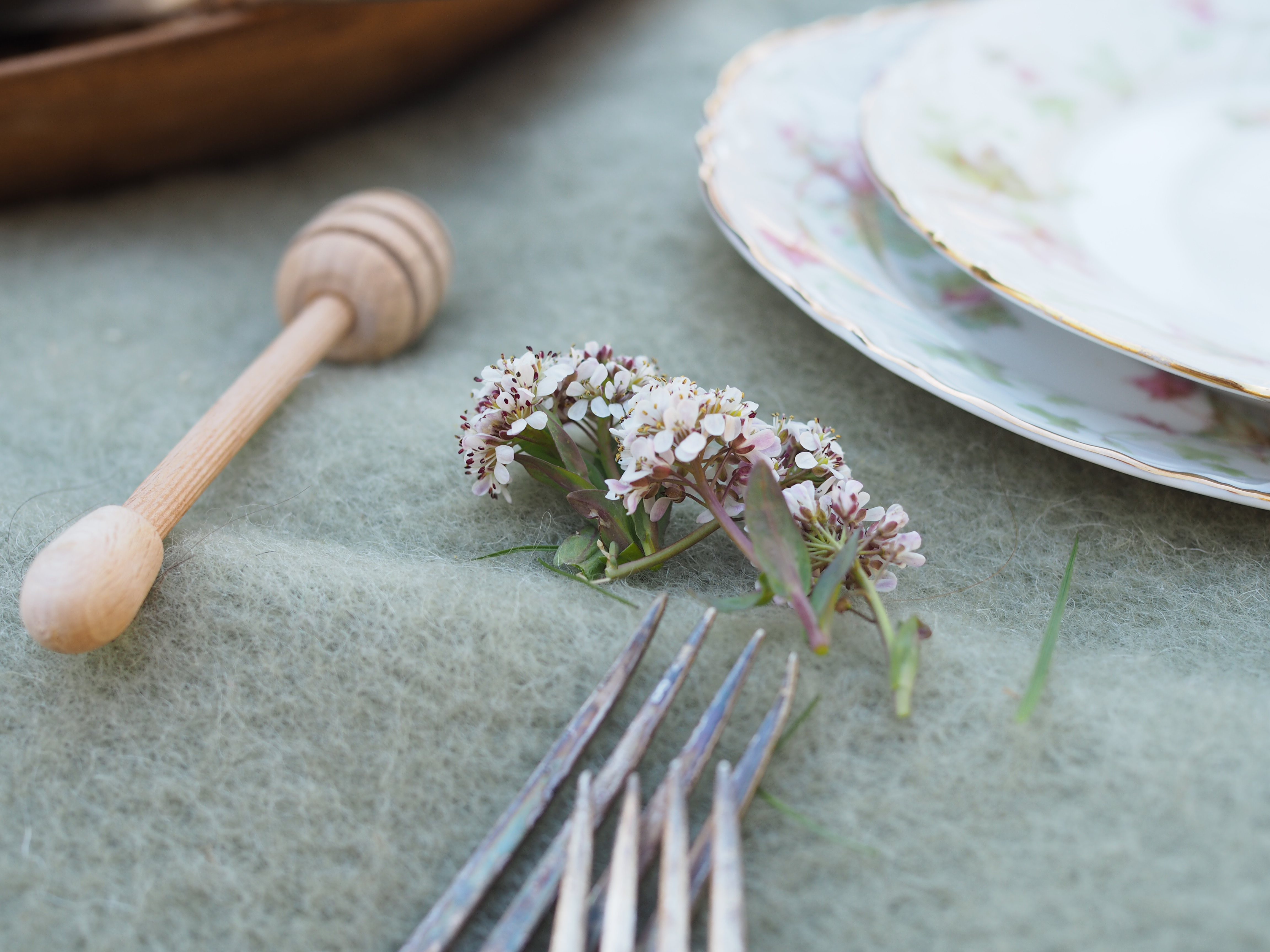 Nettle and Honey Cake (Brenneslekake)