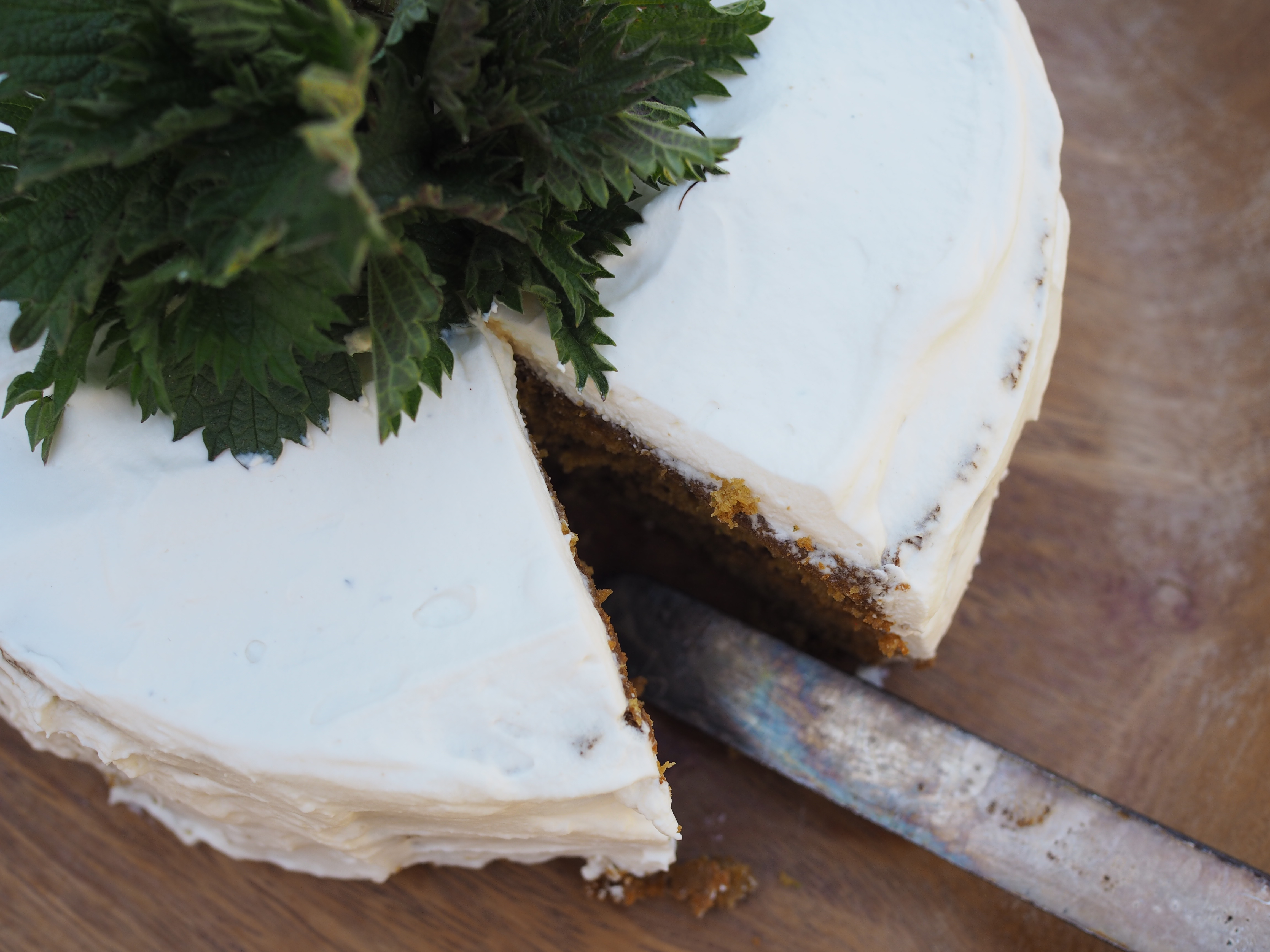 Nettle and Honey Cake (Brenneslekake)