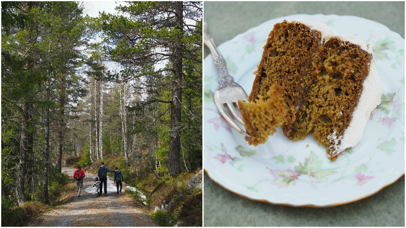 Nettle and Honey Cake (Brenneslekake)