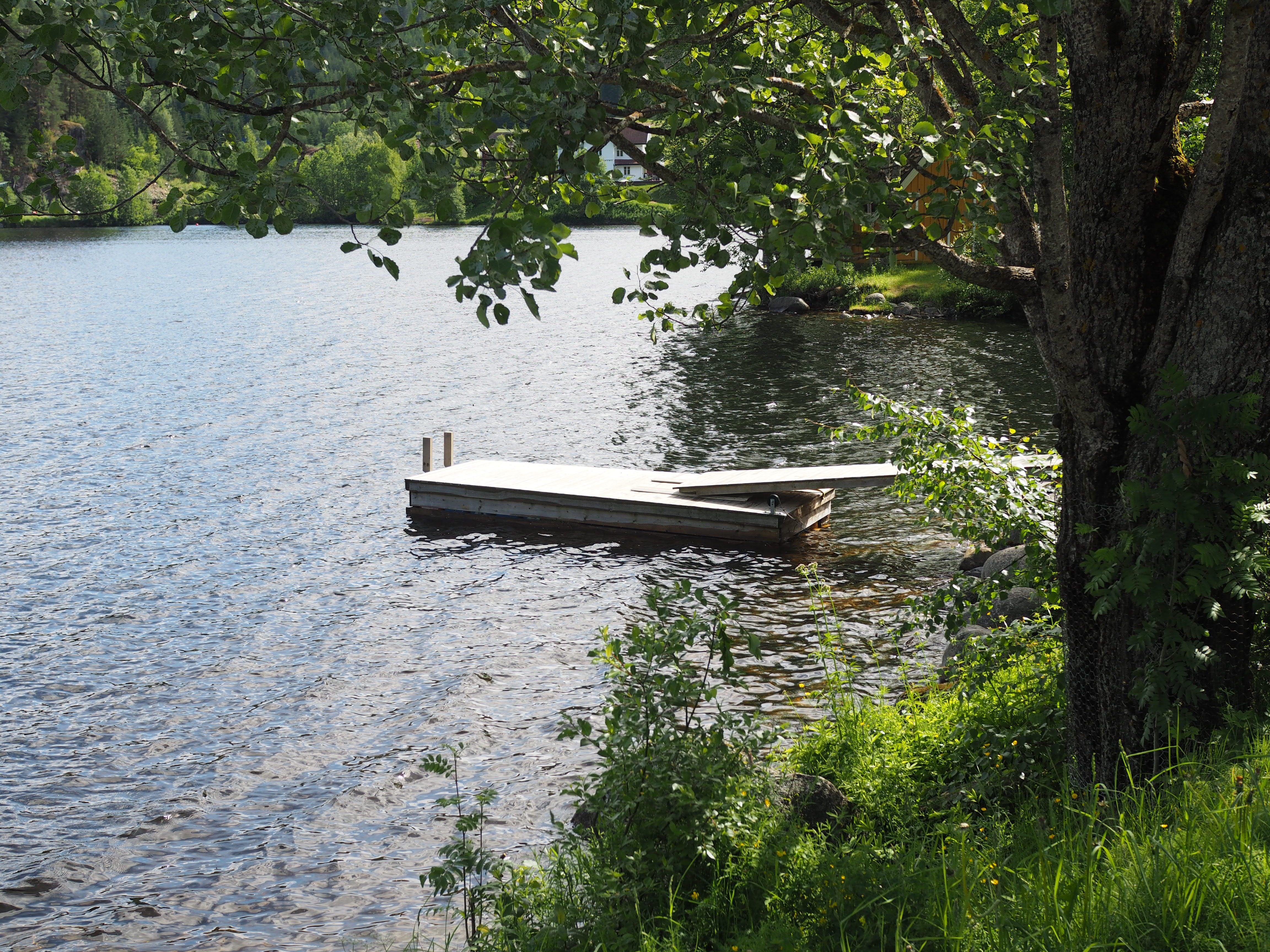 Rømmegrøt Ice Cream - Norwegian Midsummer Treat