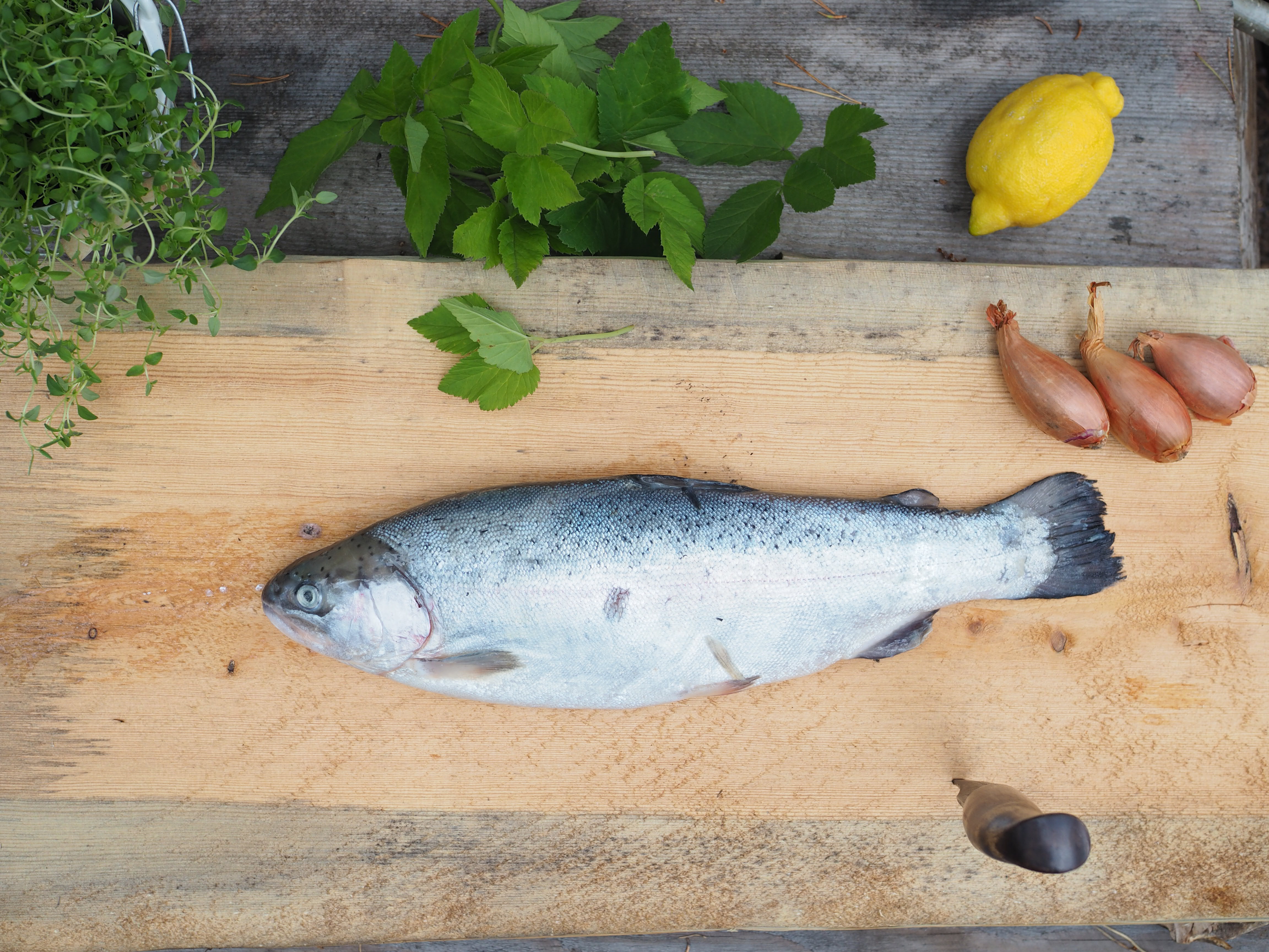 Viking Plankefisk and Rye Bread