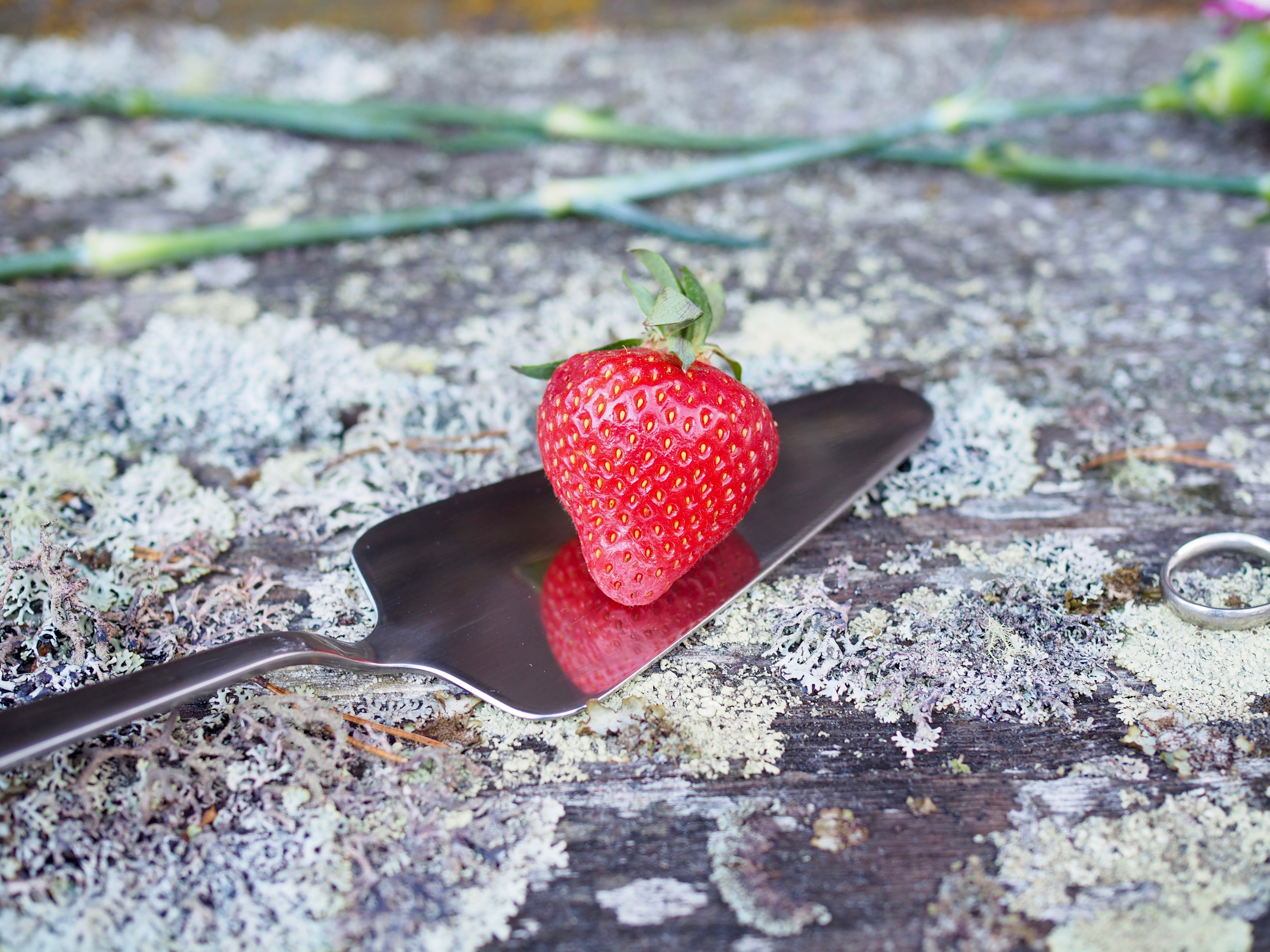 Norwegian Cheesecake (Ostekake)