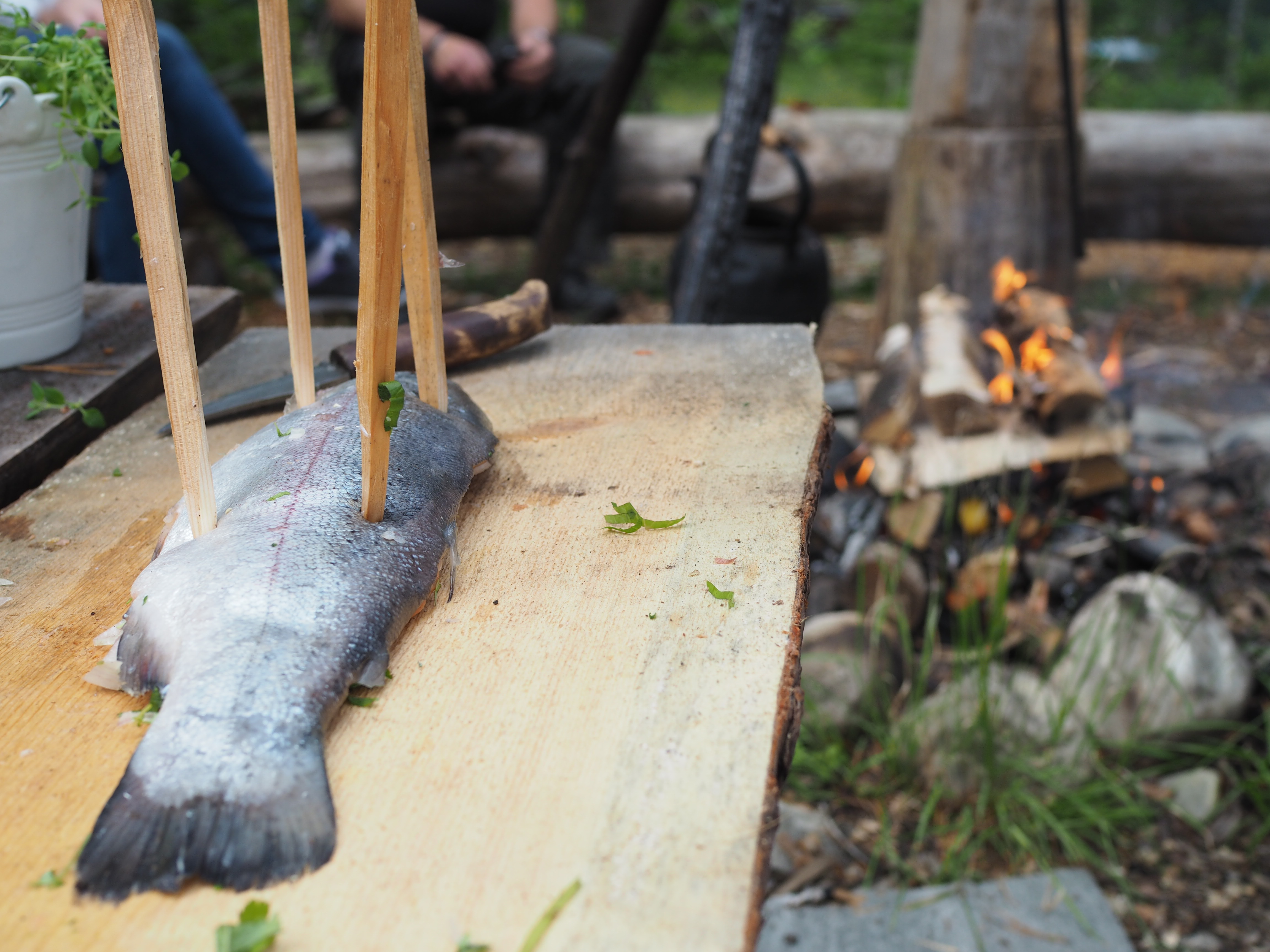 Viking Plankefisk and Rye Bread