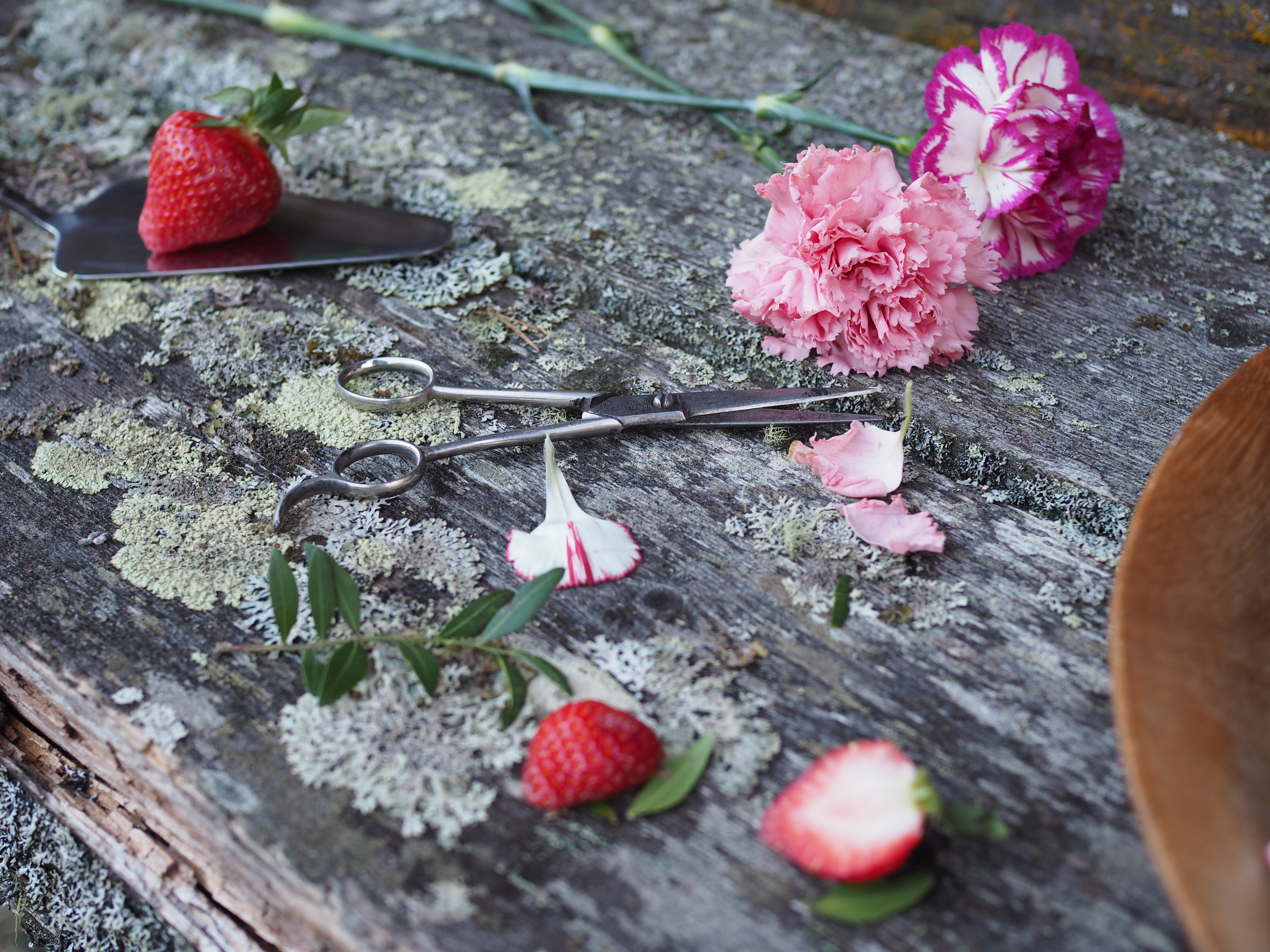 Norwegian Cheesecake (Ostekake)