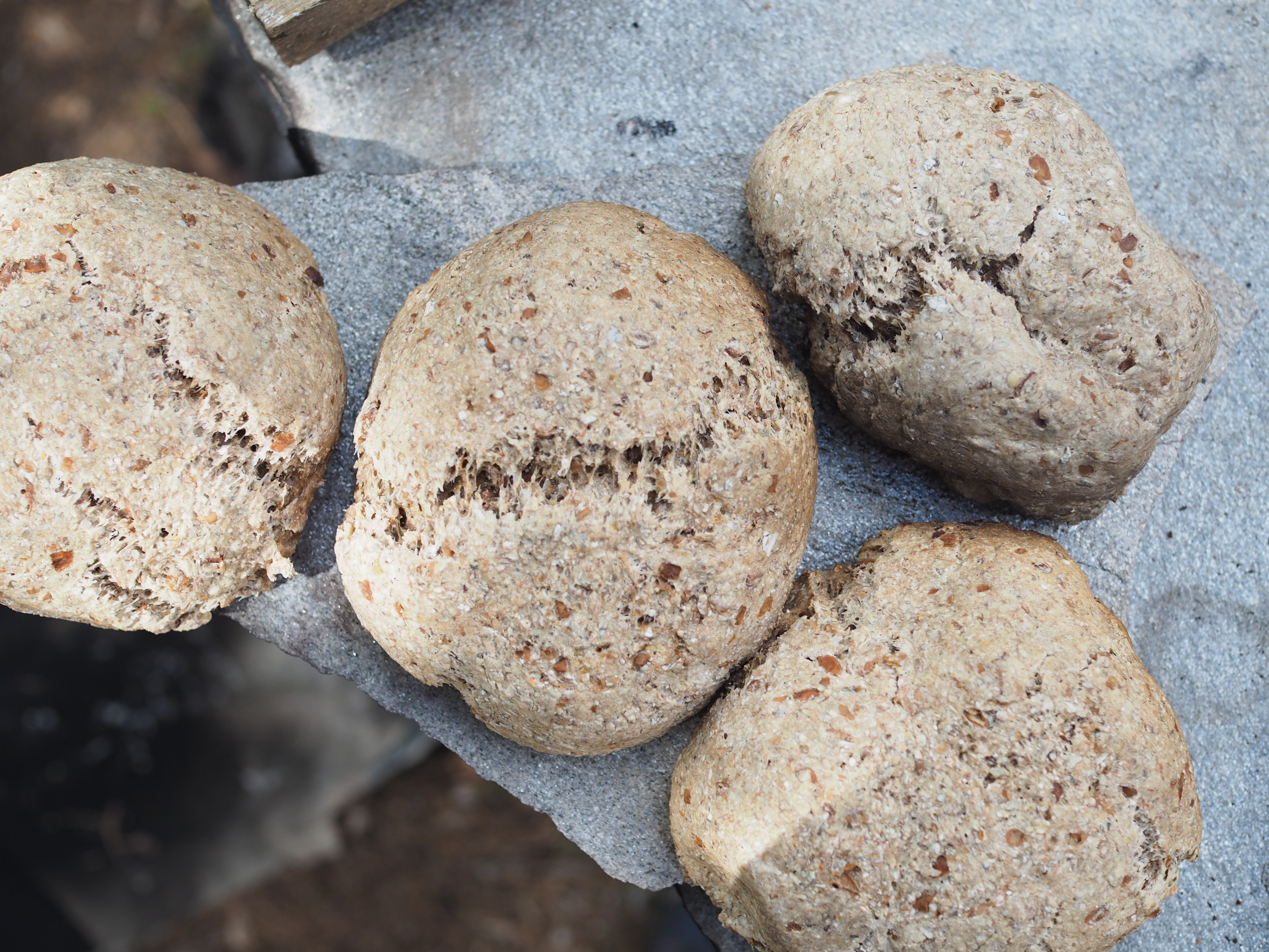 Viking Plankefisk and Rye Bread