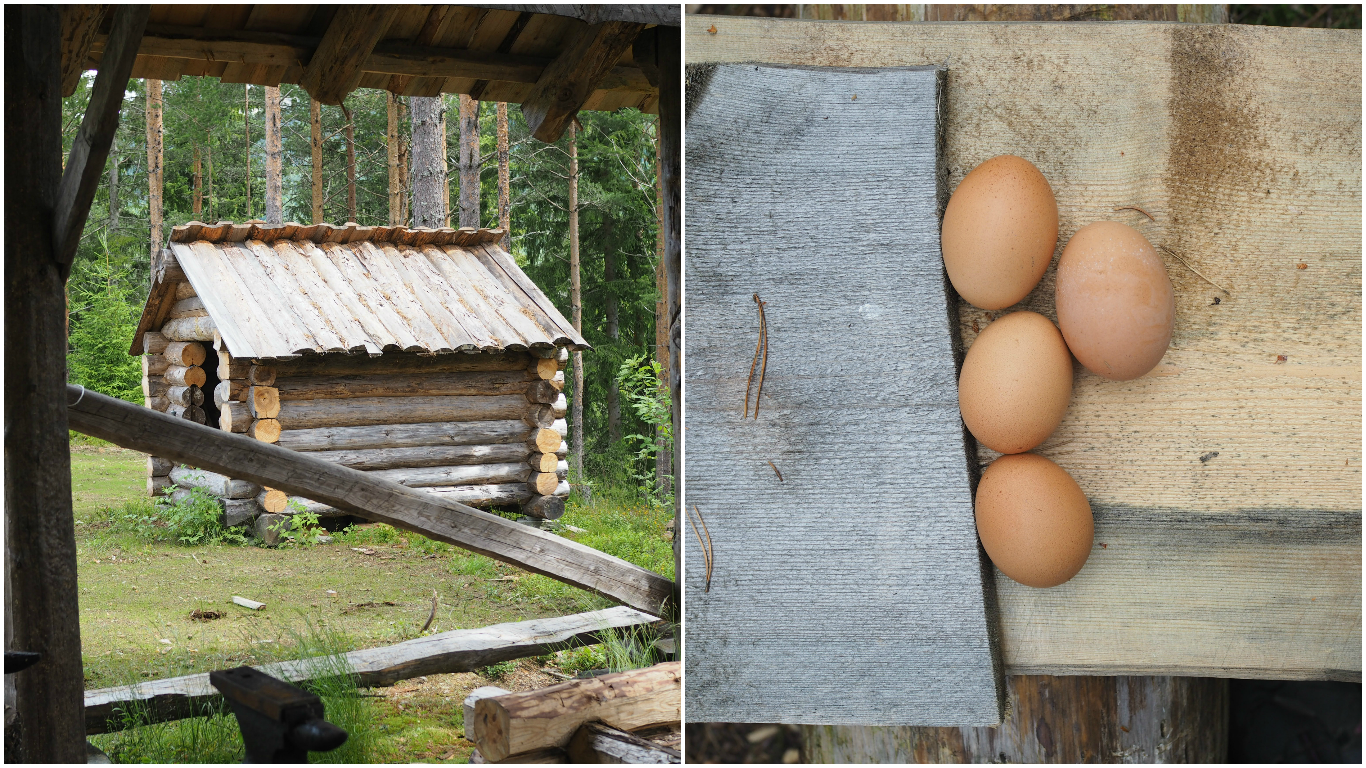 Viking Plankefisk and Rye Bread