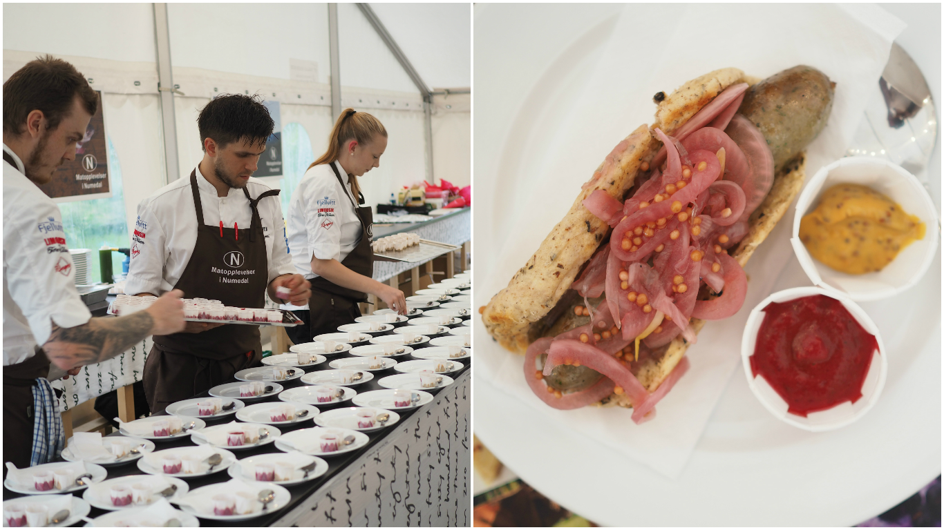 Numedal Matfestival