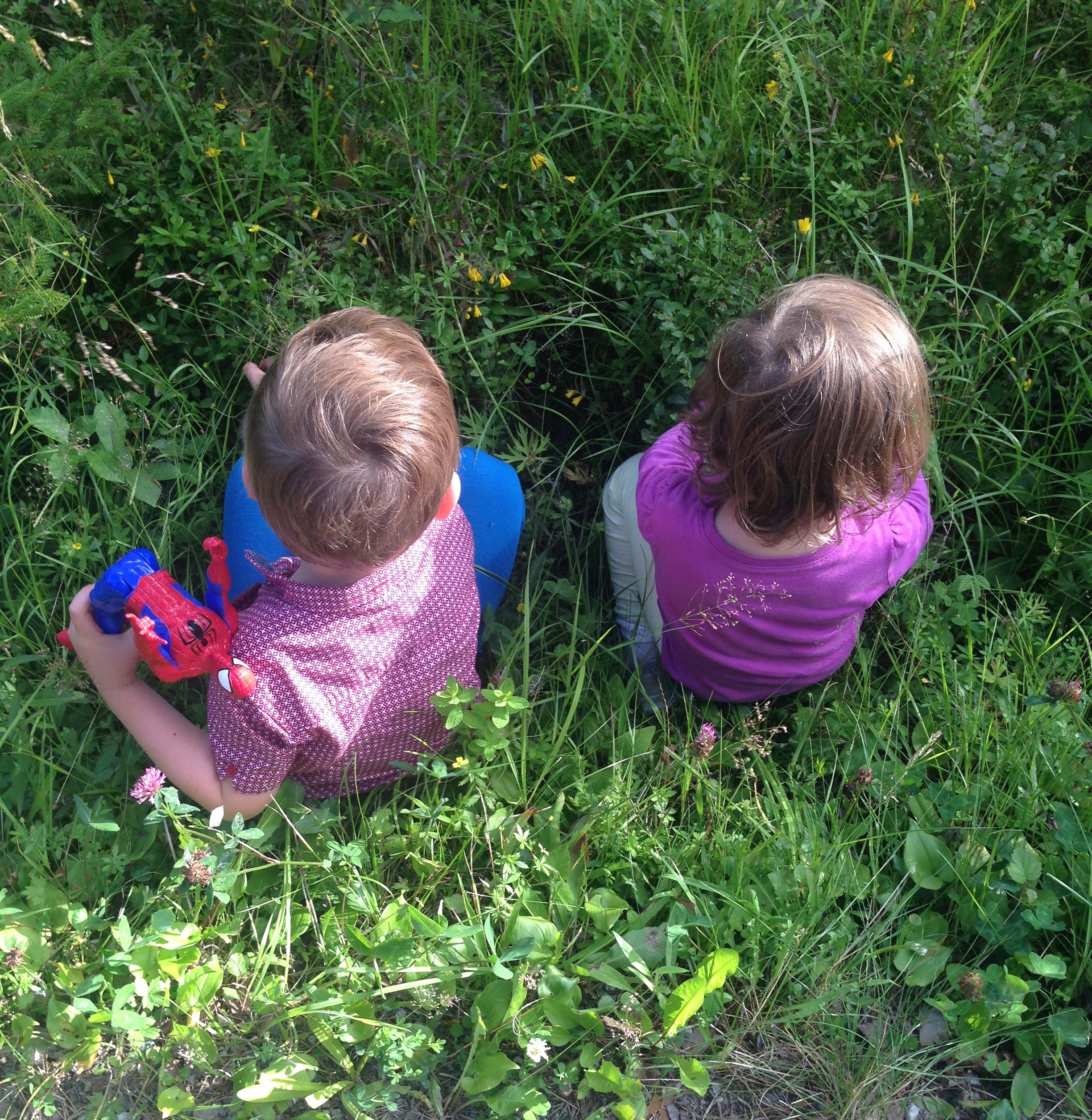 Roasted Strawberry and Lemon Ice Cream