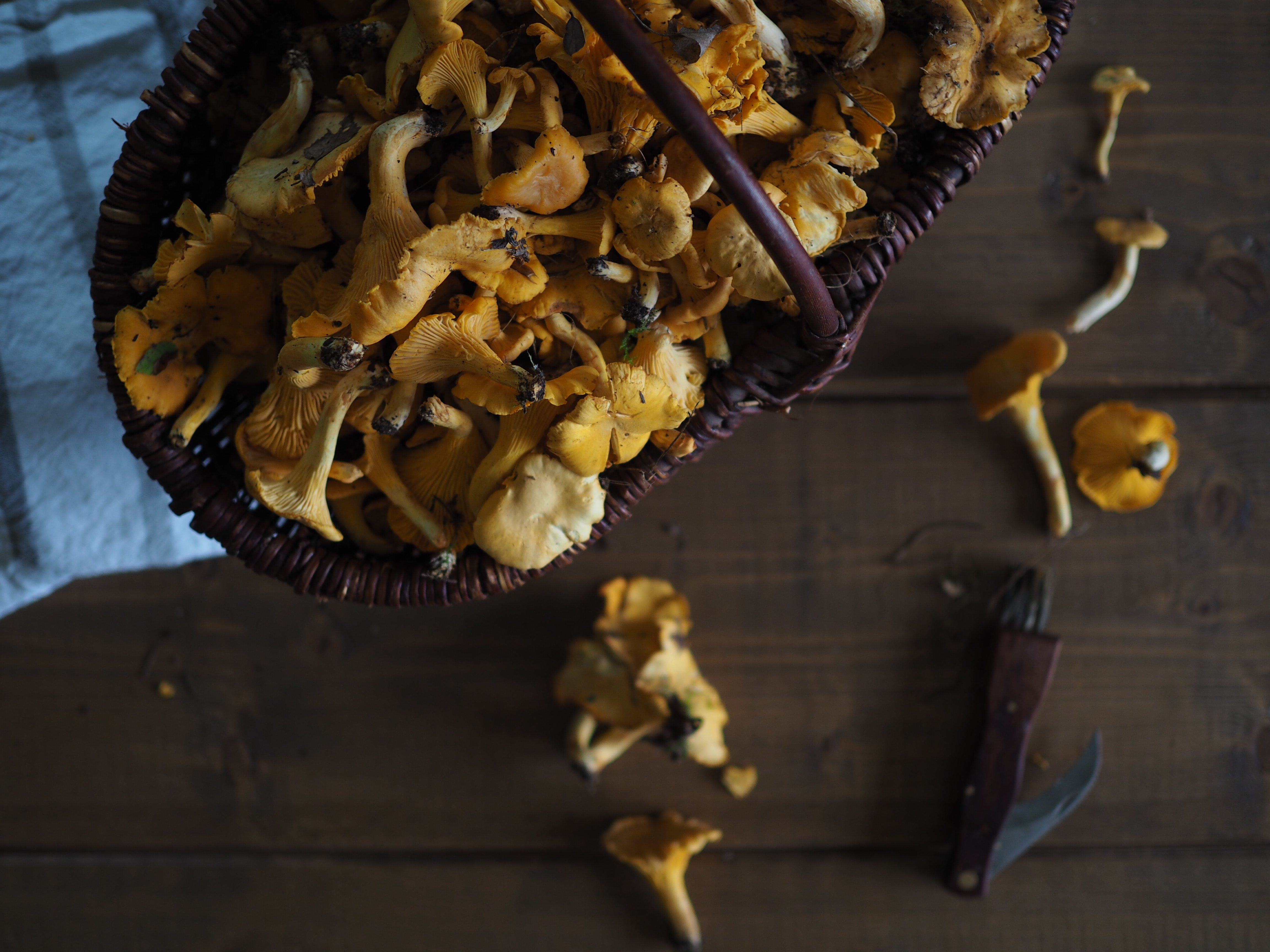 Skillet Chantarelle and Cheese Fondue (Kantarelle med Geitost)