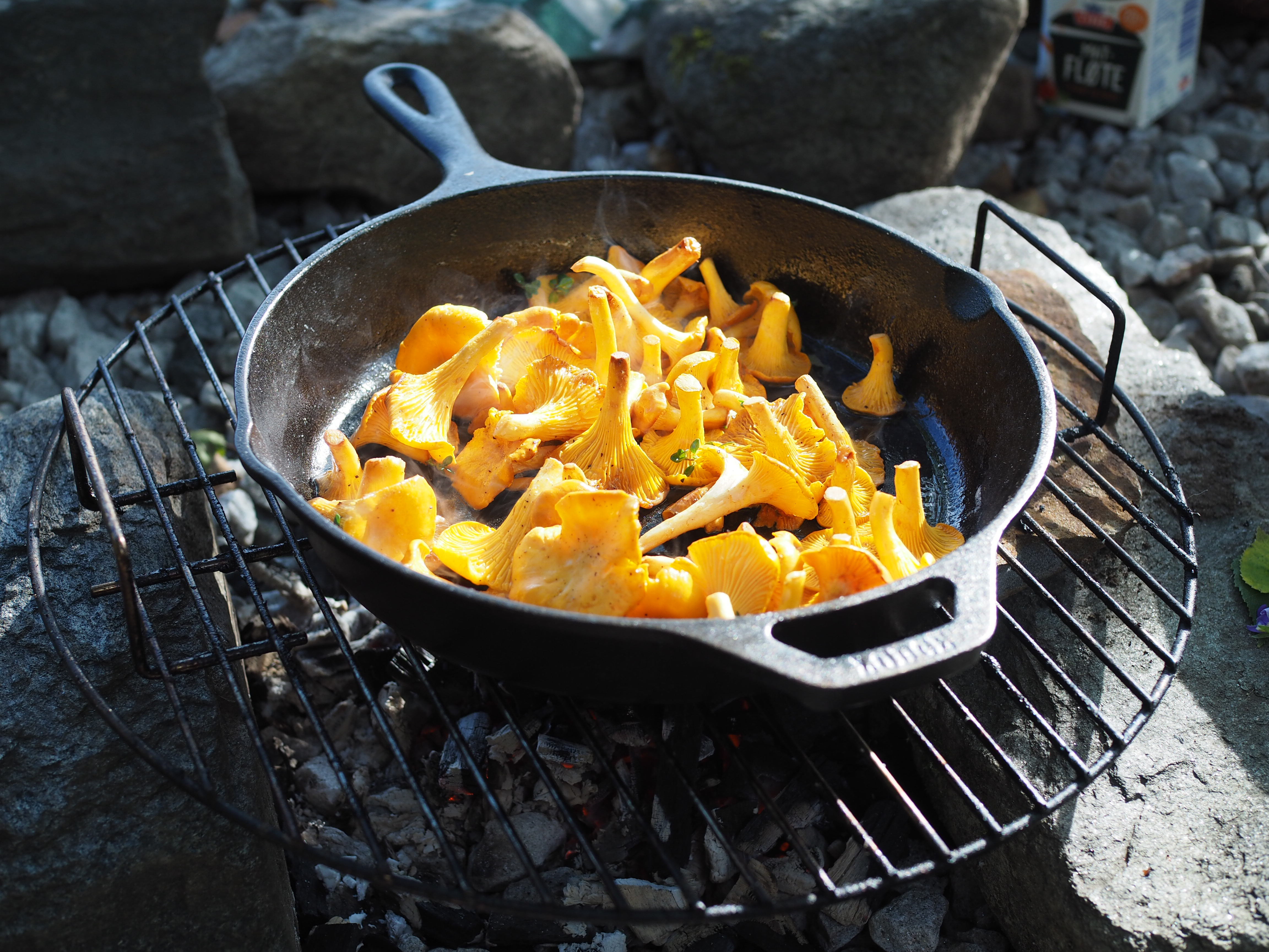 Skillet Chantarelle and Cheese Fondue (Kantarelle med Geitost)