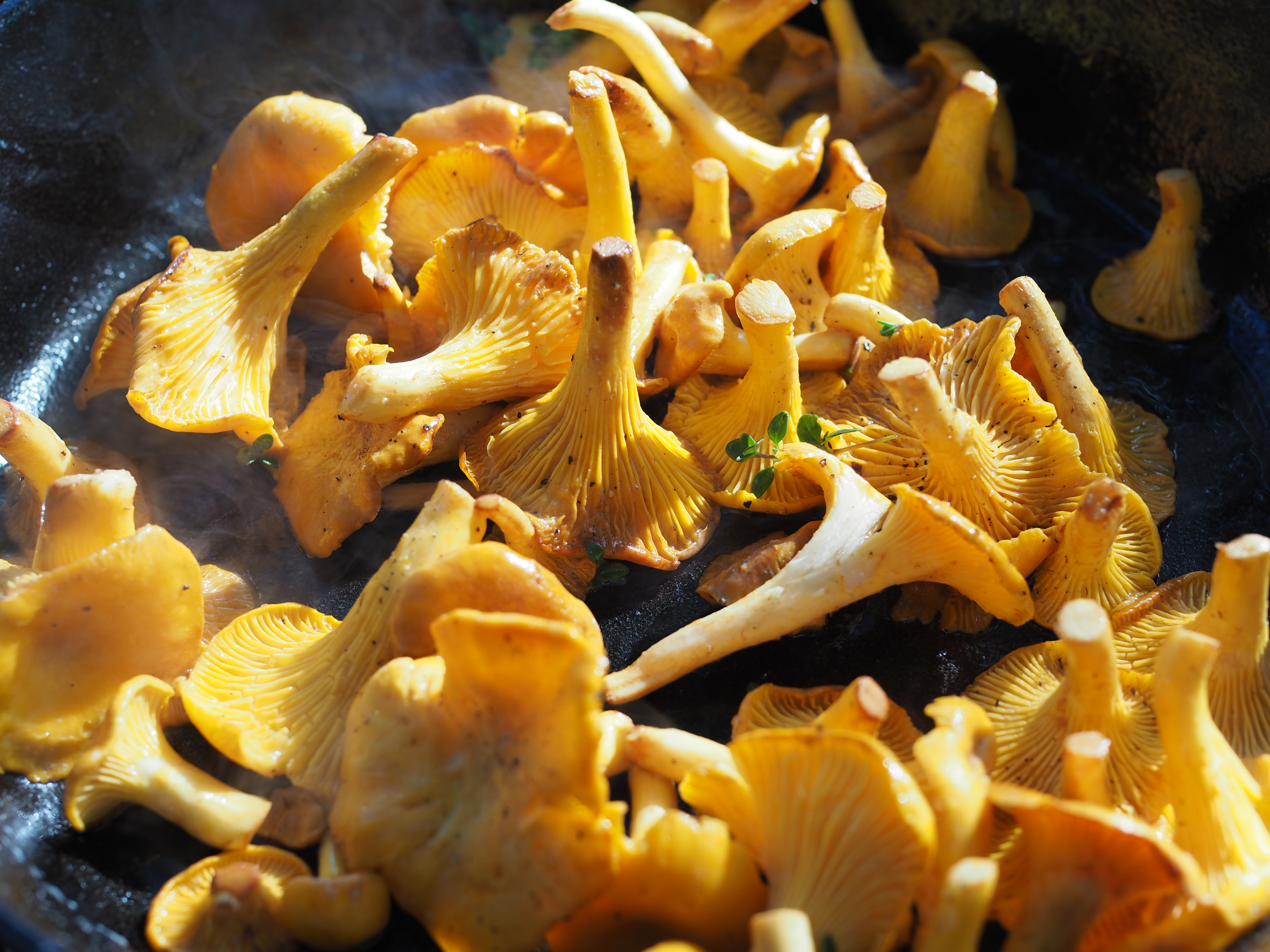 Skillet Chantarelle and Cheese Fondue (Kantarelle med Geitost)