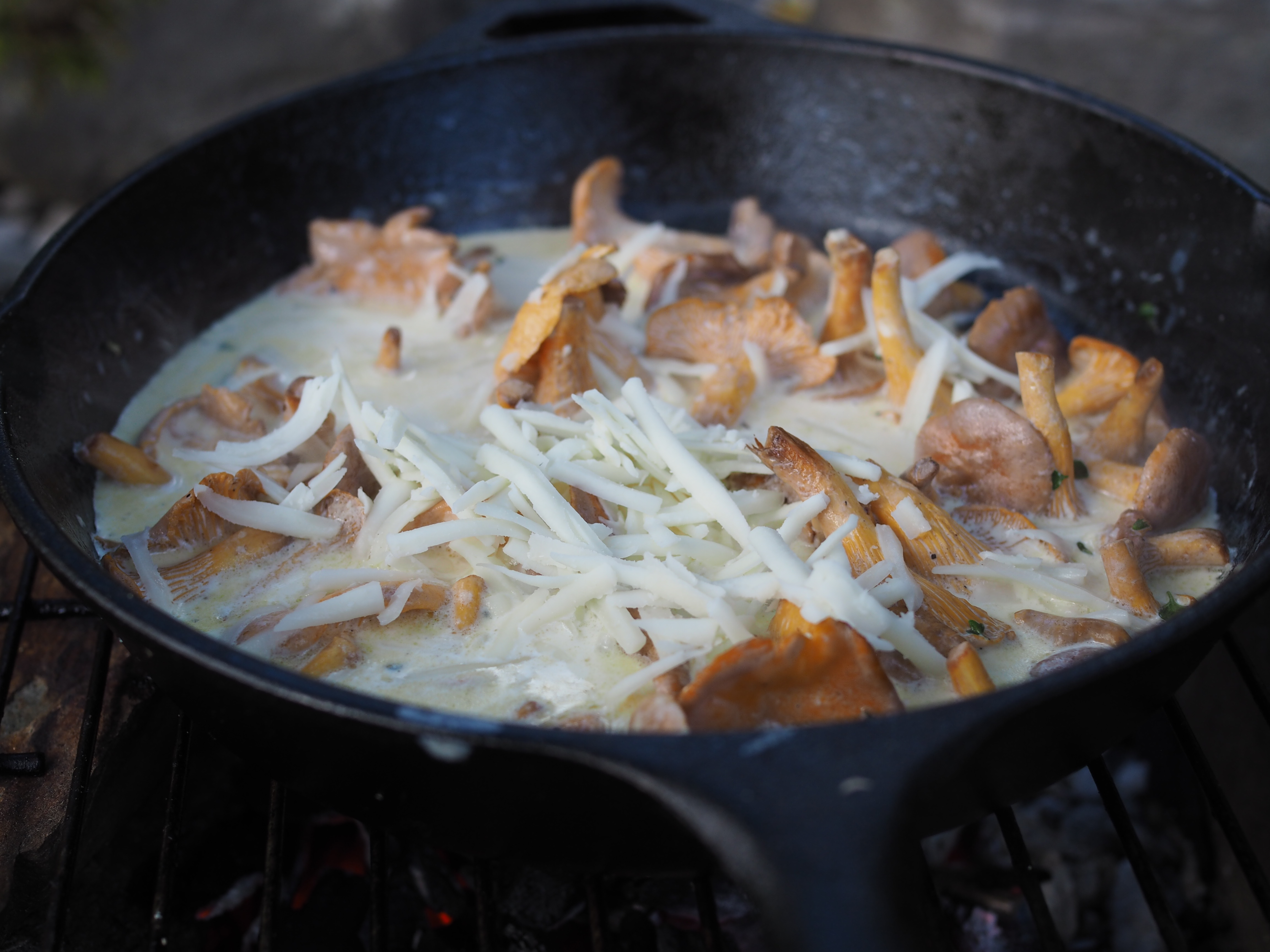 Skillet Chantarelle and Cheese Fondue (Kantarelle med Geitost)