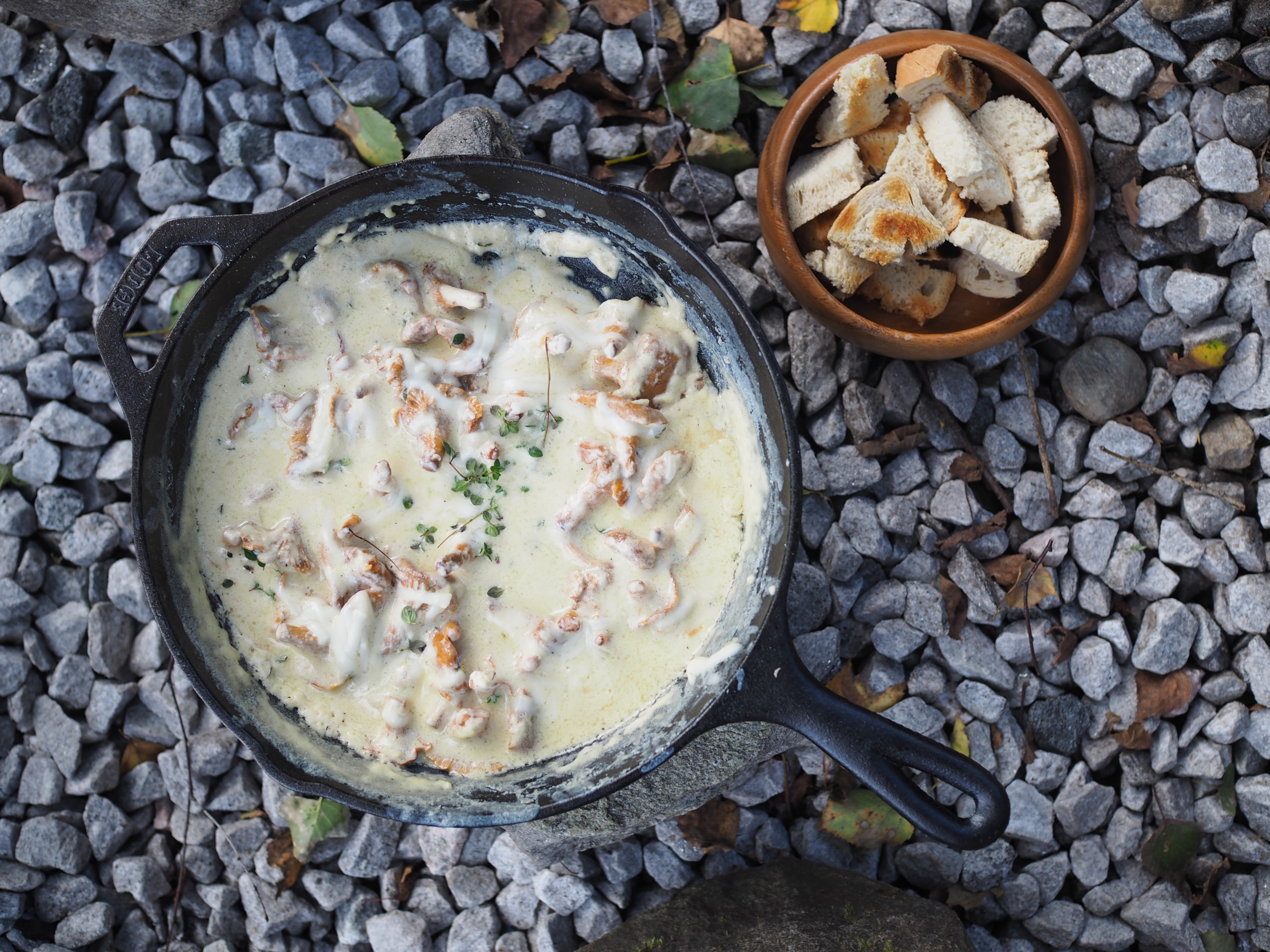 Skillet Chantarelle and Cheese Fondue (Kantarelle med Geitost)