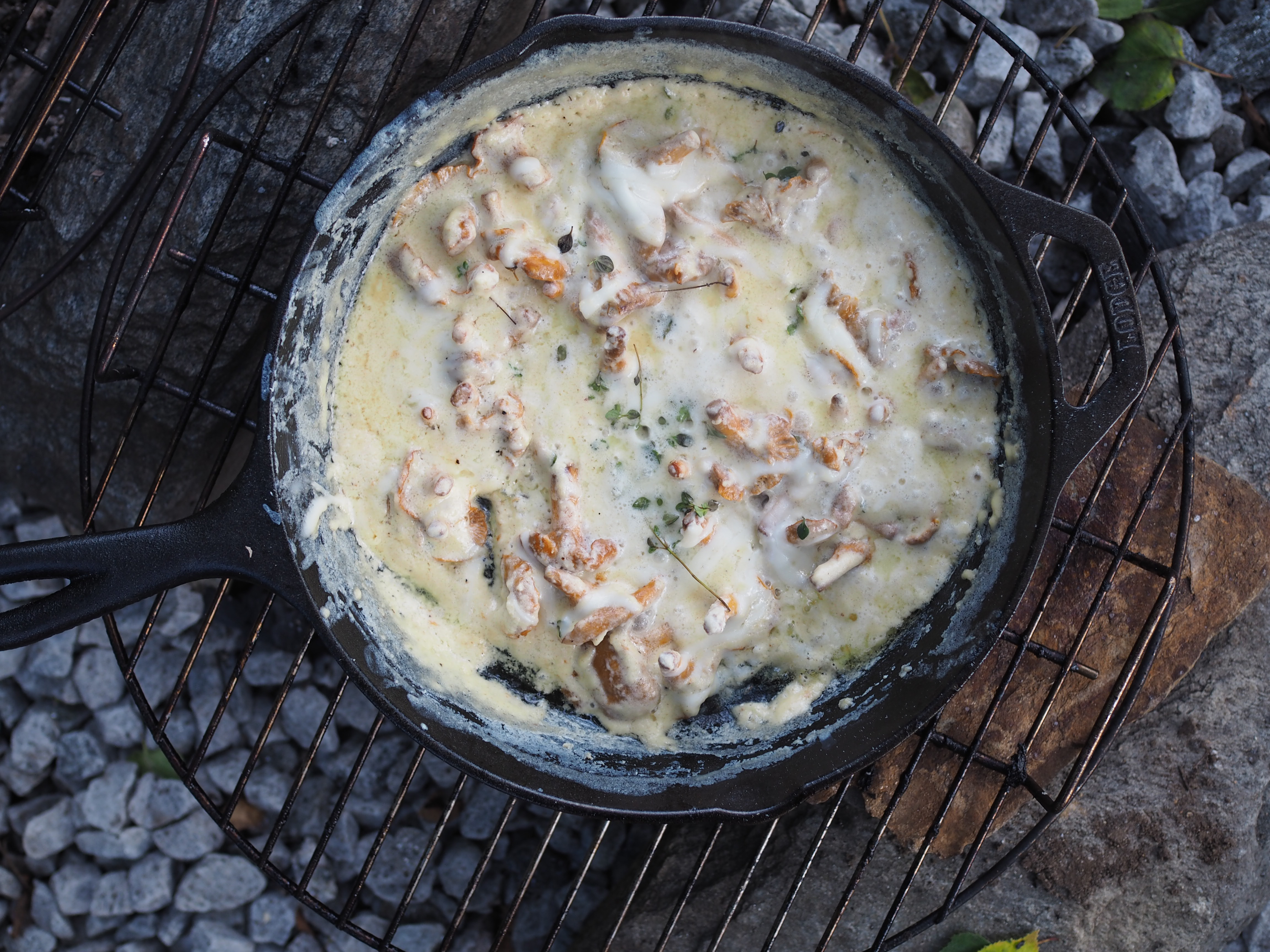 Skillet Chantarelle and Cheese Fondue (Kantarelle med Geitost)