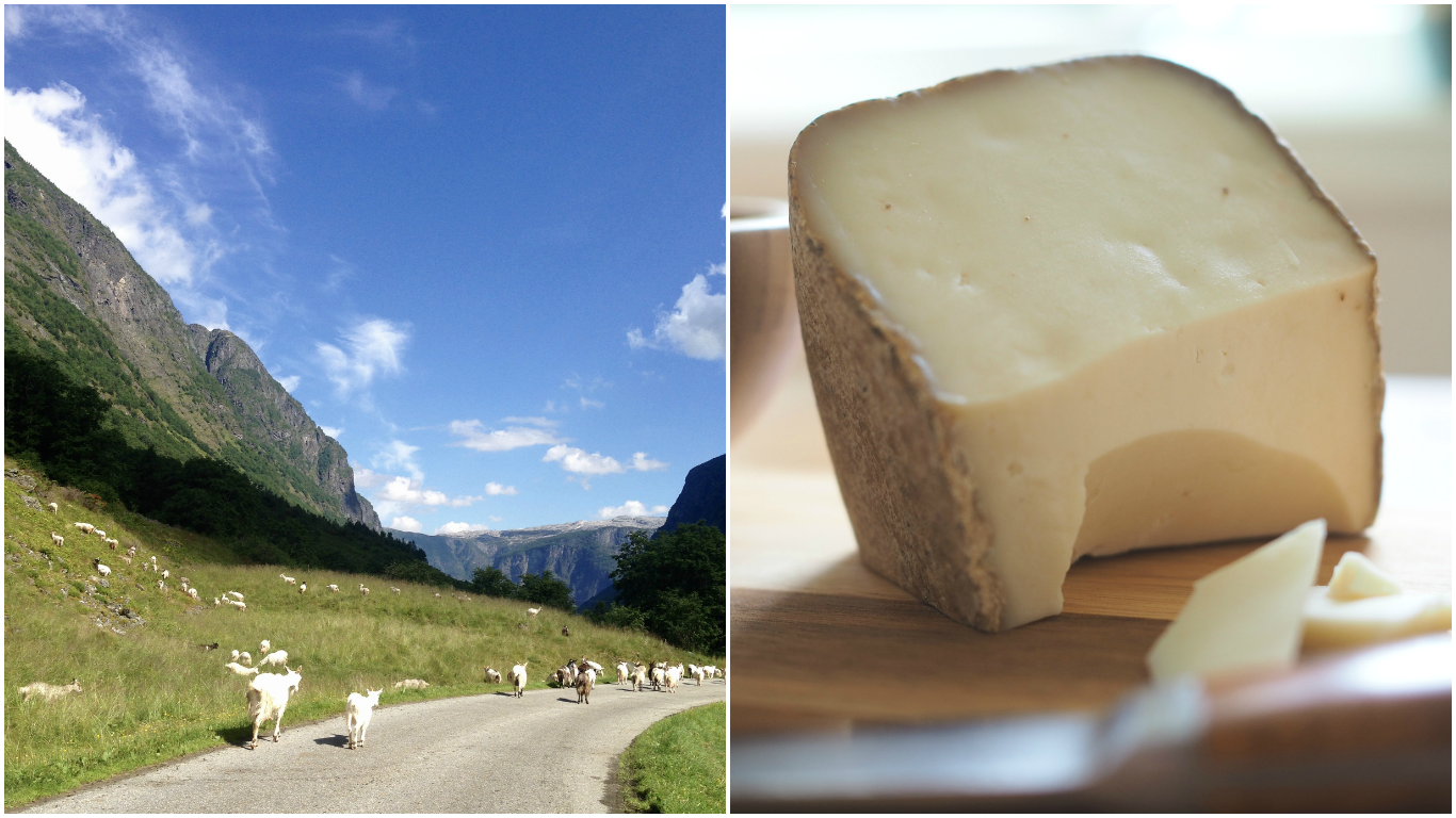 Savory Berry Tartlets (Velsmakende Baerpai)