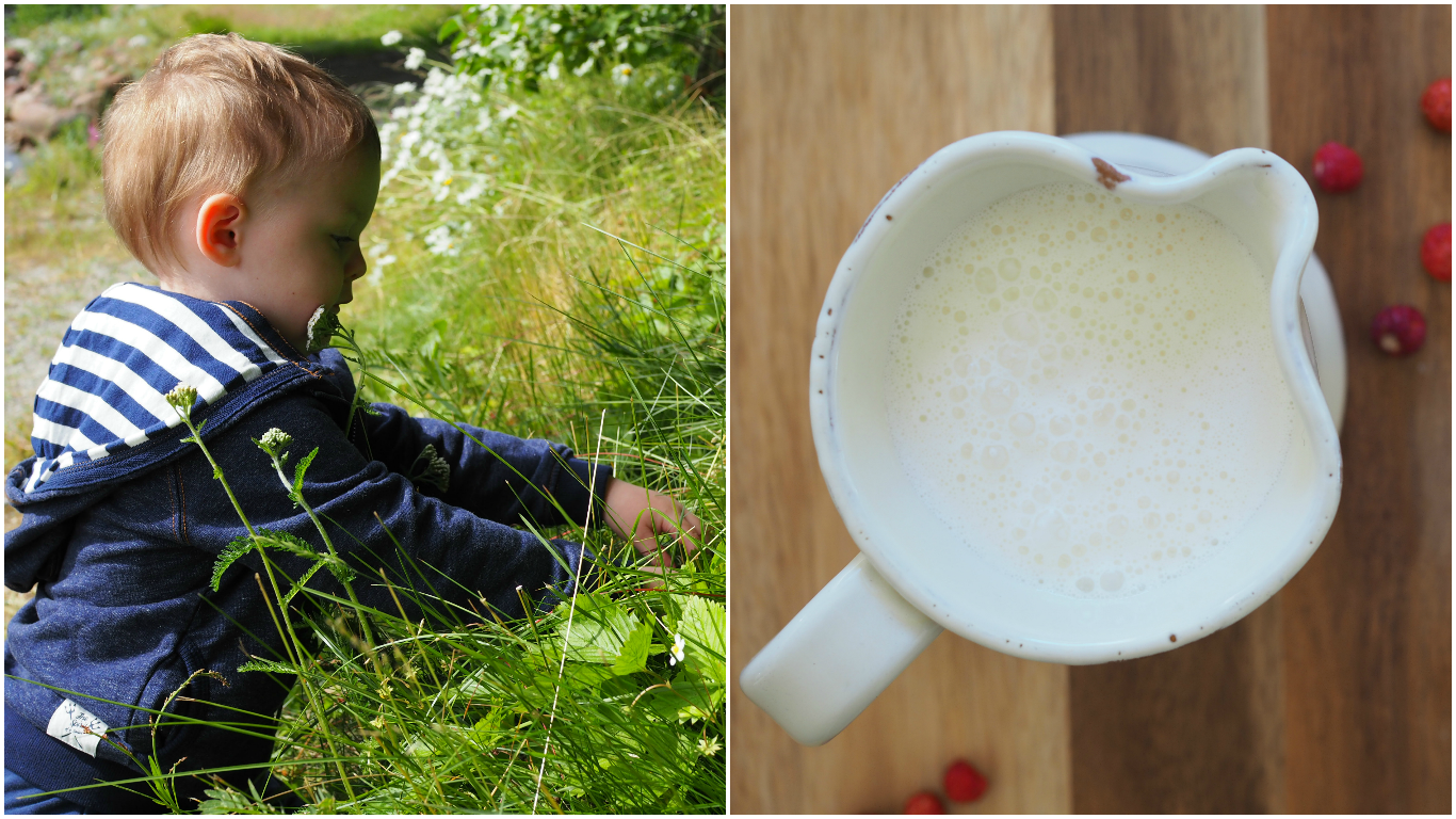 Roasted Strawberry and Lemon Ice Cream