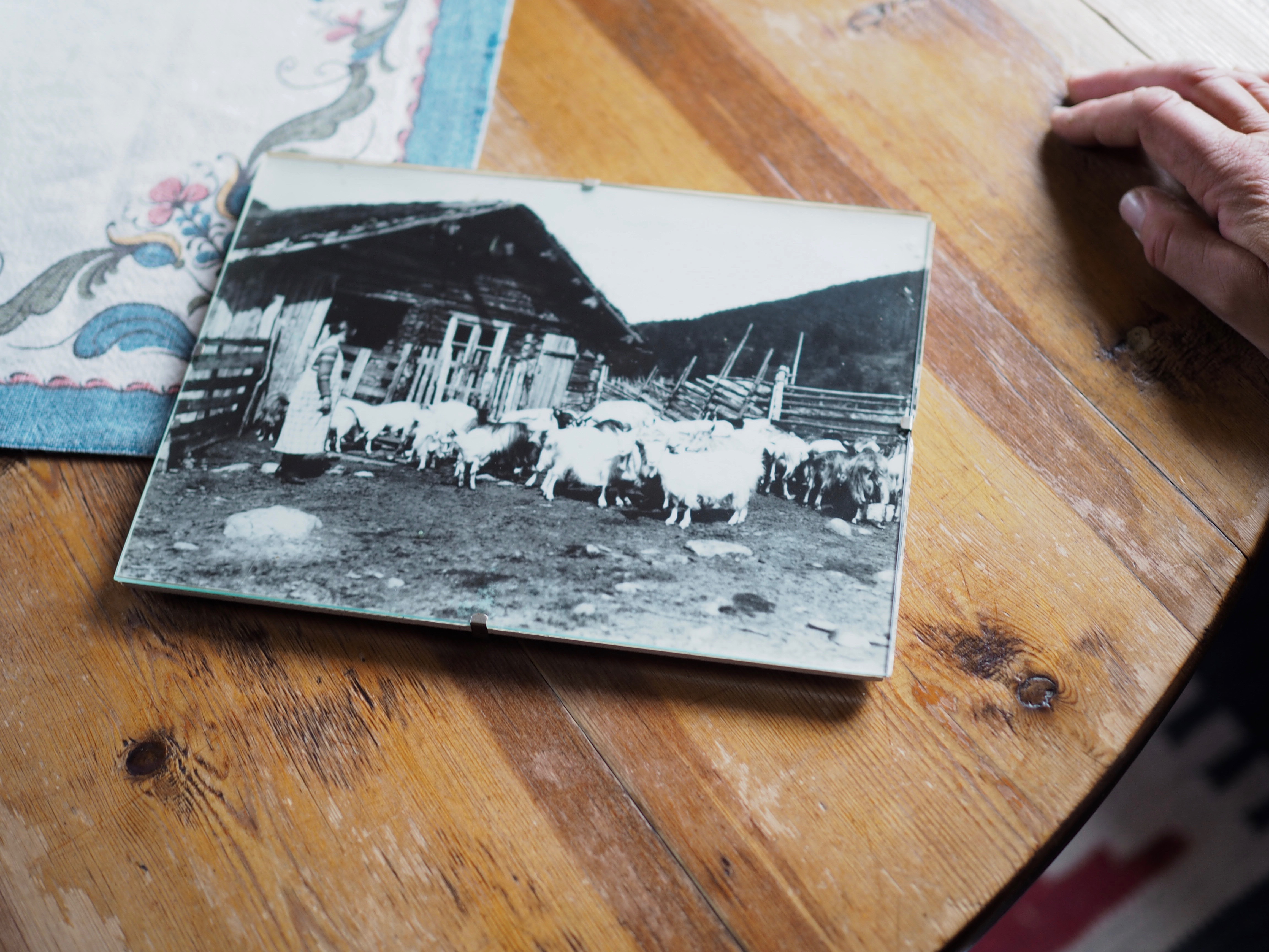 Norsk Seterliv & Sur-Ost (Mountain Farm Cottage Cheese)