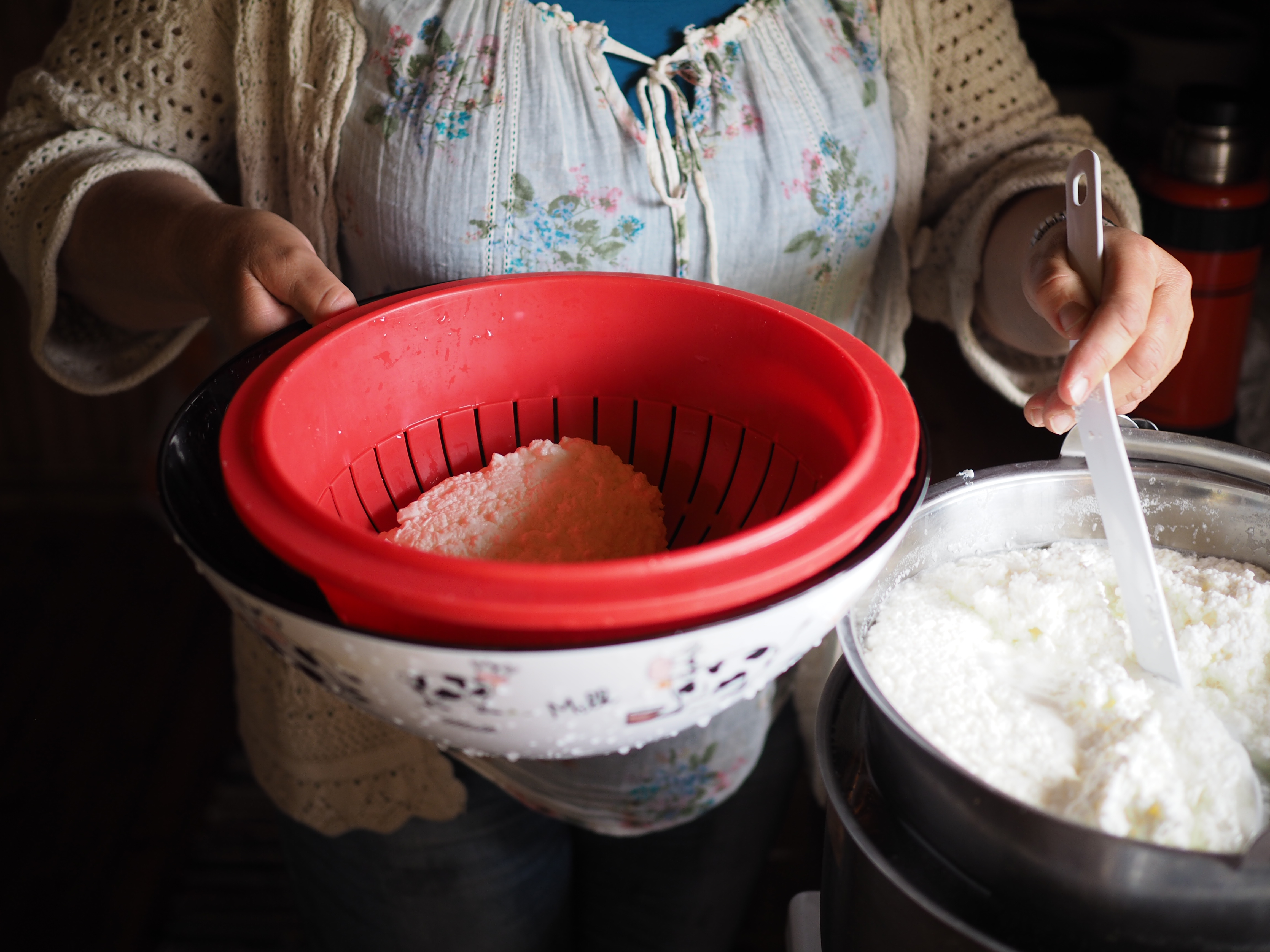Norsk Seterliv & Sur-Ost (Mountain Farm Cottage Cheese)