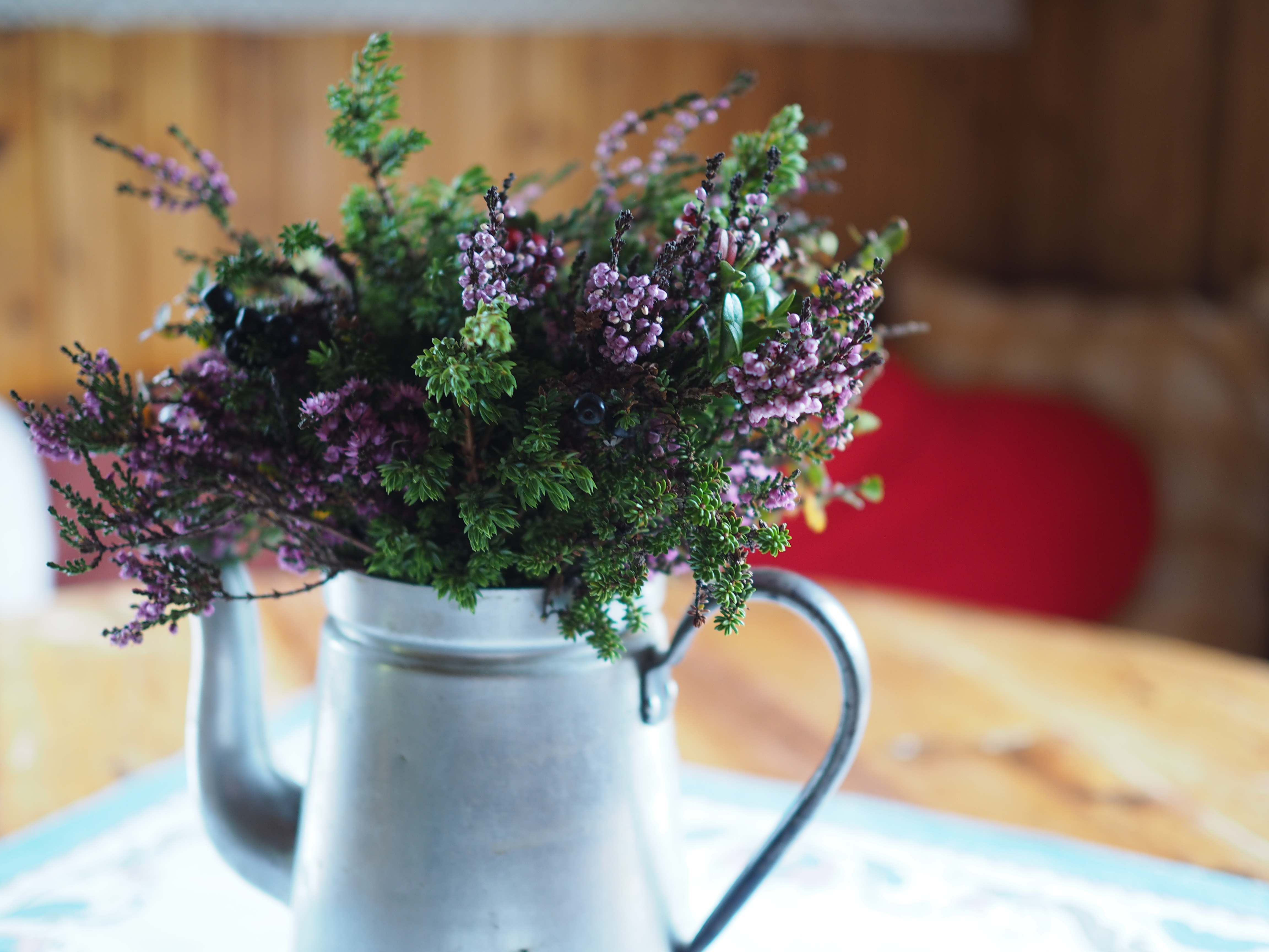 Norsk Seterliv & Sur-Ost (Mountain Farm Cottage Cheese)