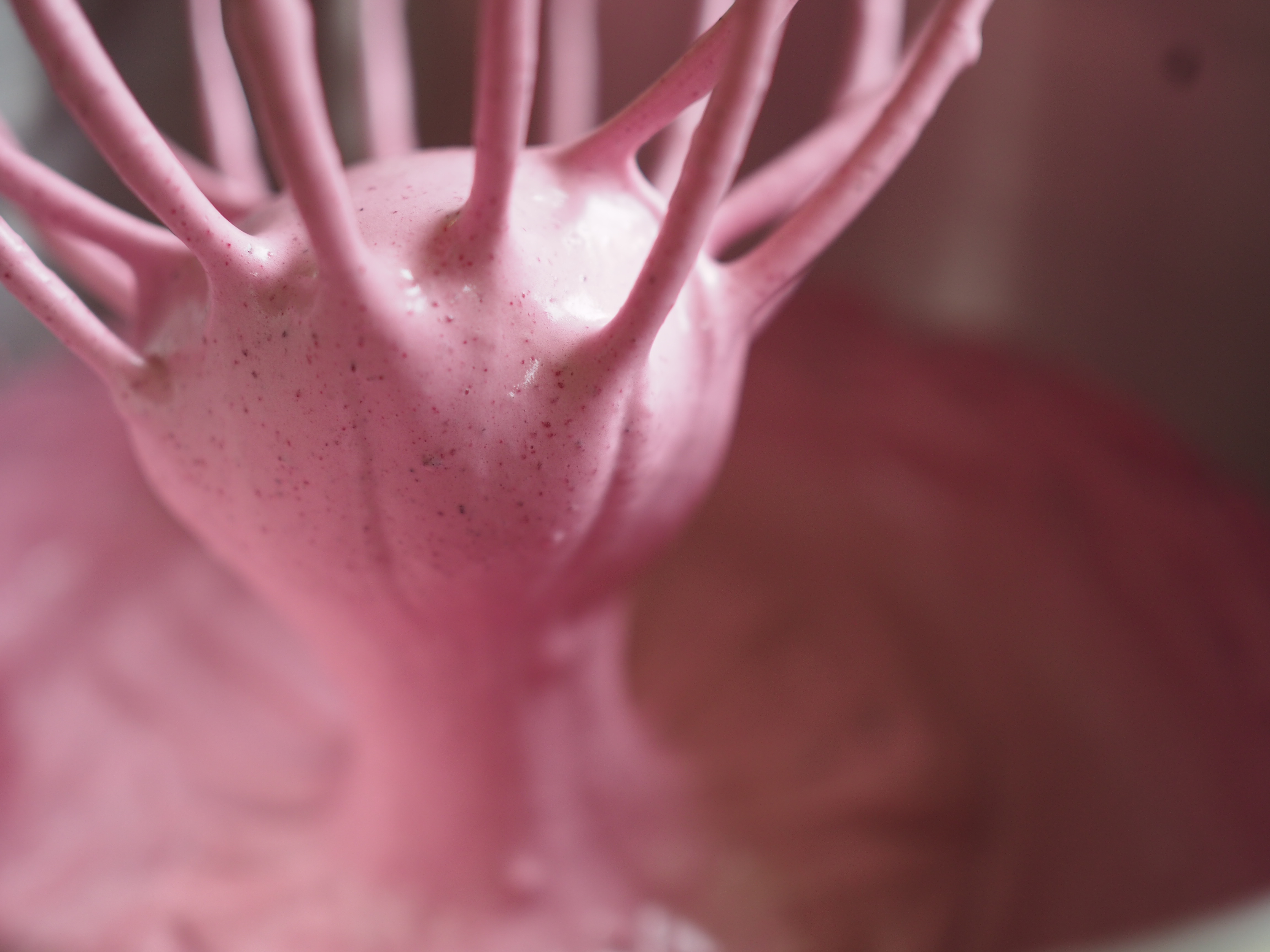 Norwegian Russedessert & Saft