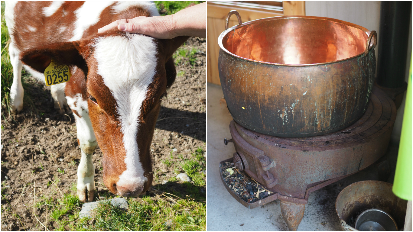 Norsk Seterliv & Sur-Ost (Mountain Farm Cottage Cheese)