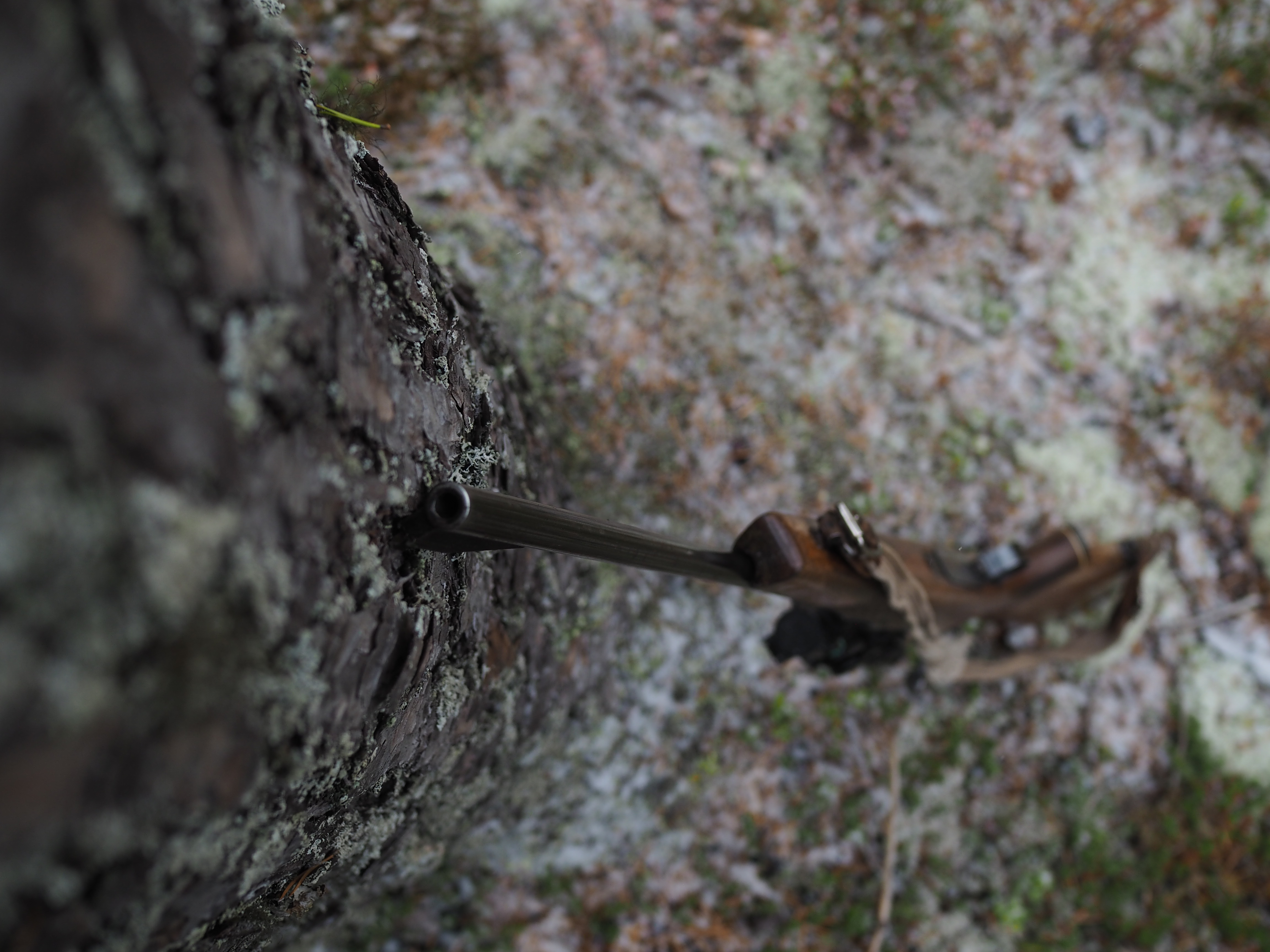 The Norwegian Hunt (Jakten)