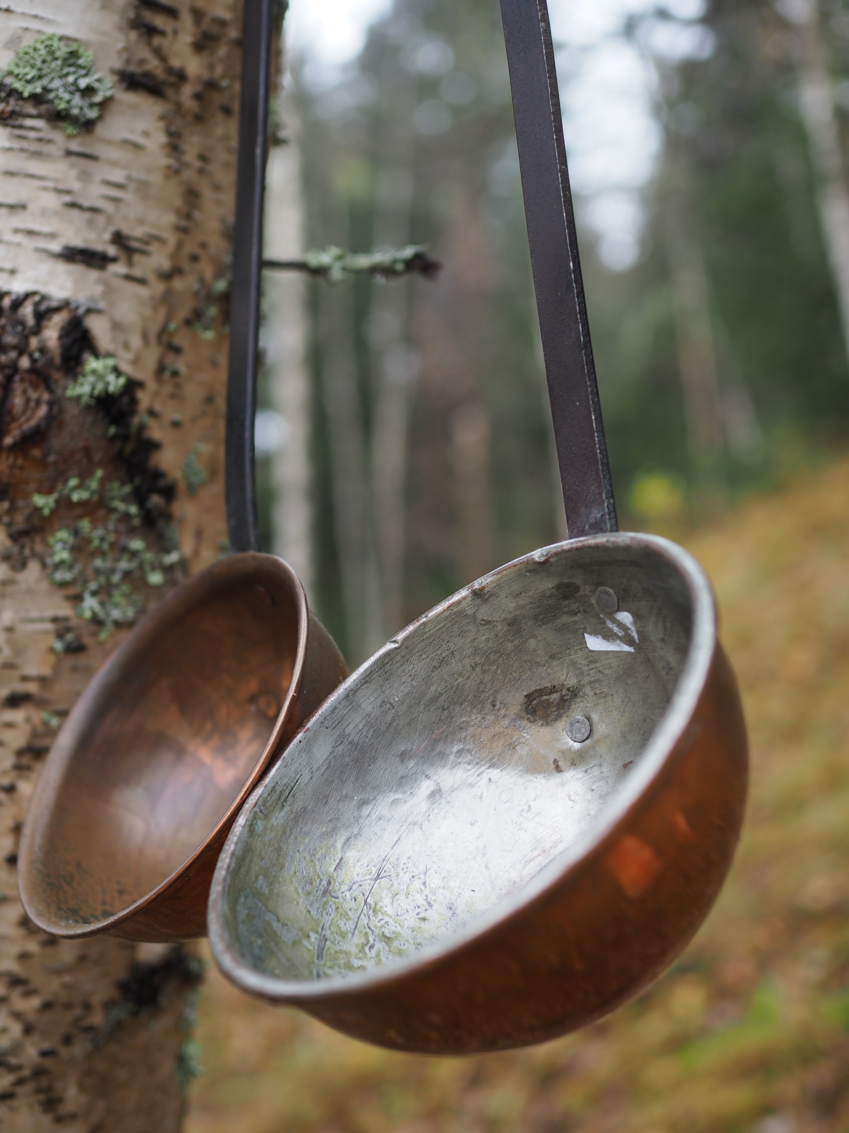 Norwegian Moose Stew (Elggryte)