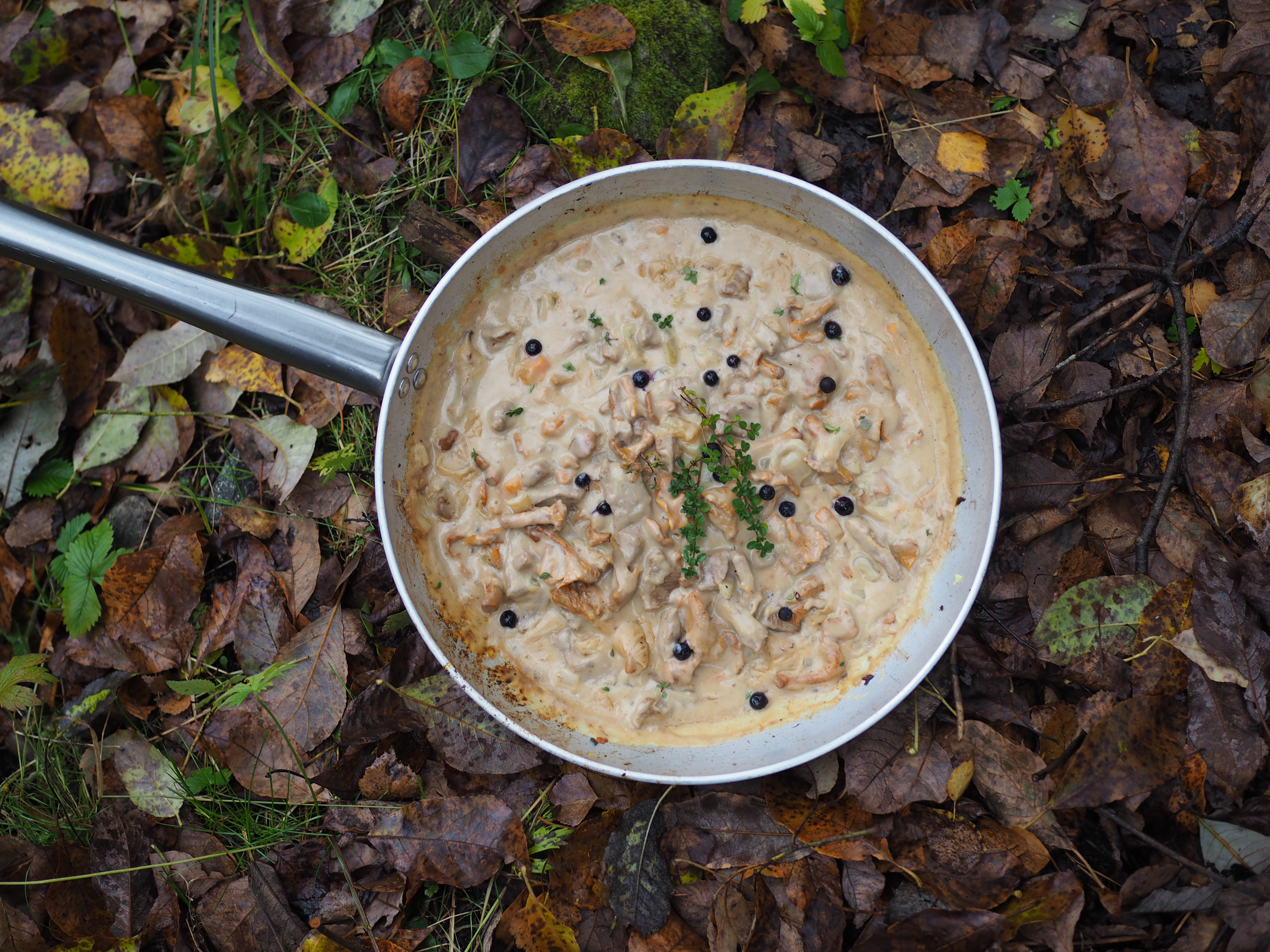 Norwegian Moose Stew (Elggryte)