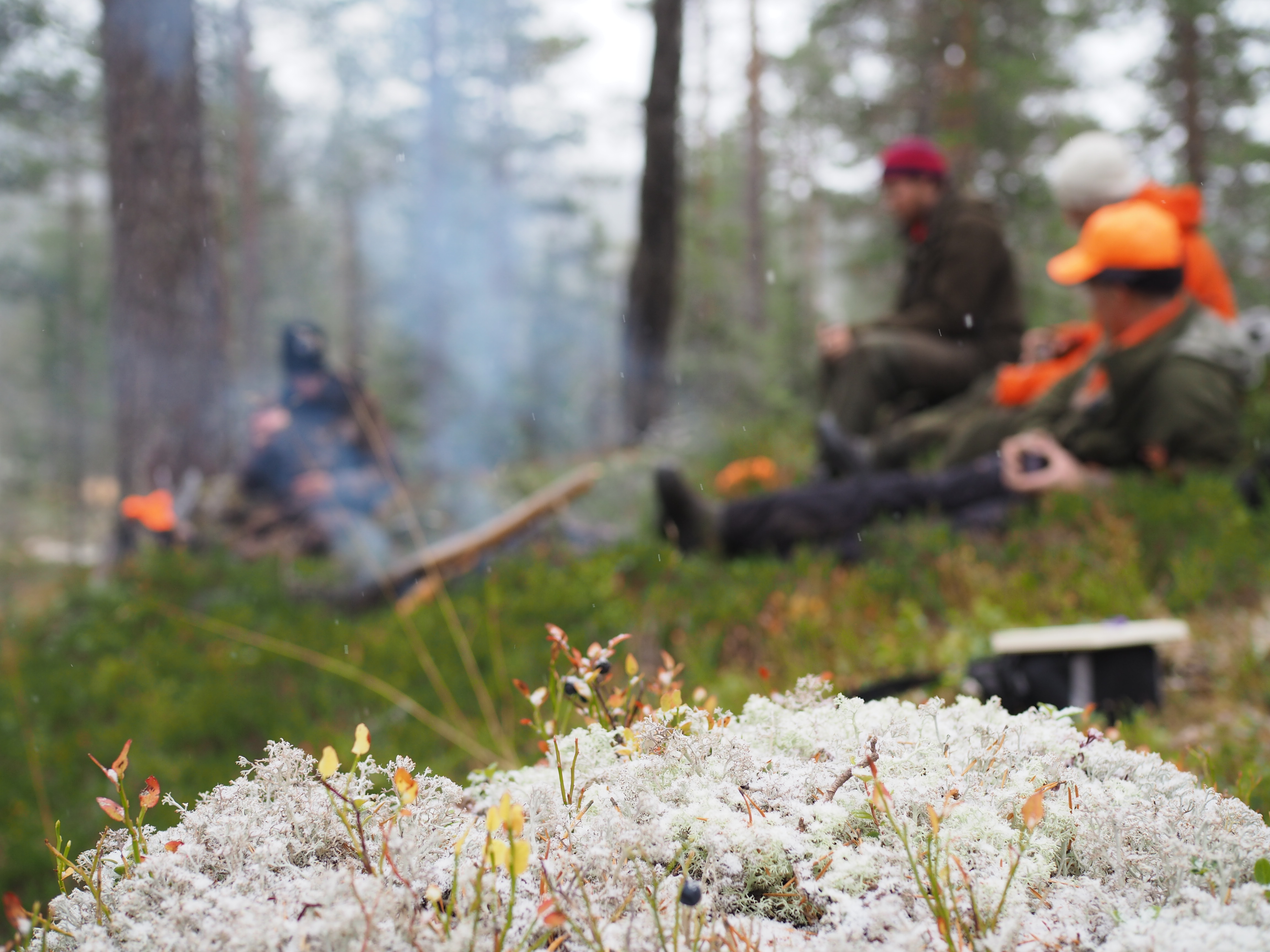 The Norwegian Hunt (Jakten)