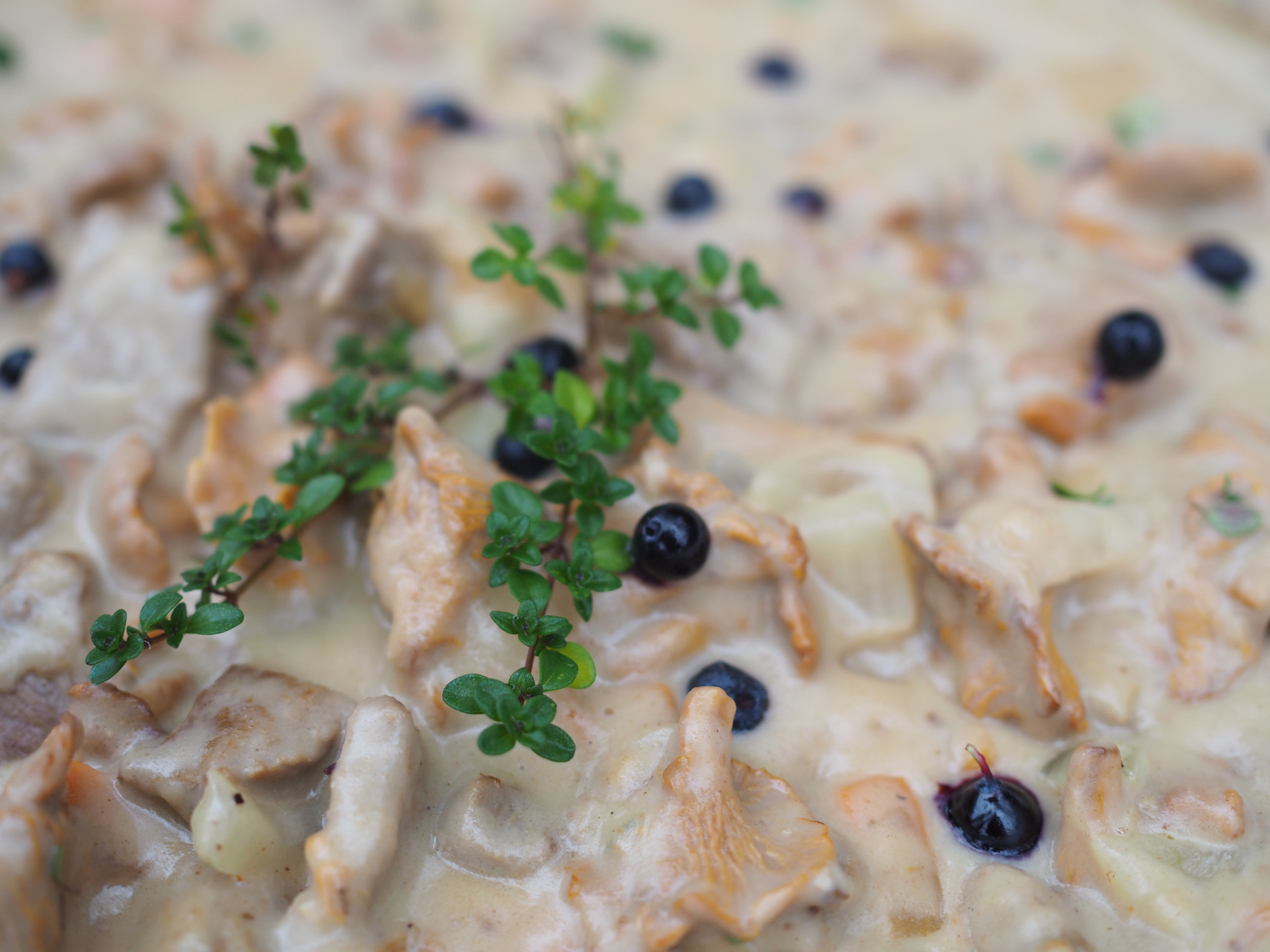 Norwegian Moose Stew (Elggryte)