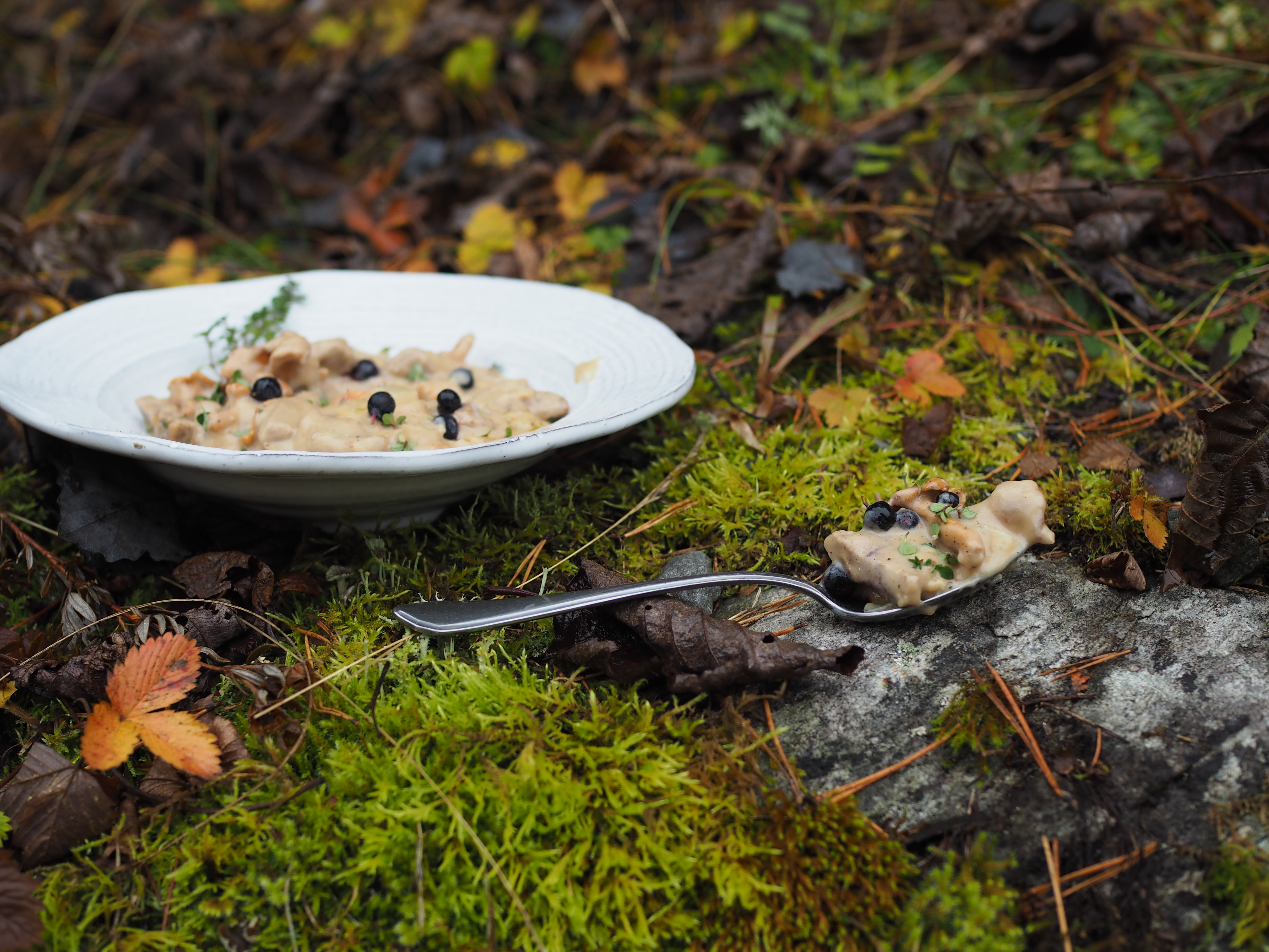 Norwegian Moose Stew (Elggryte)
