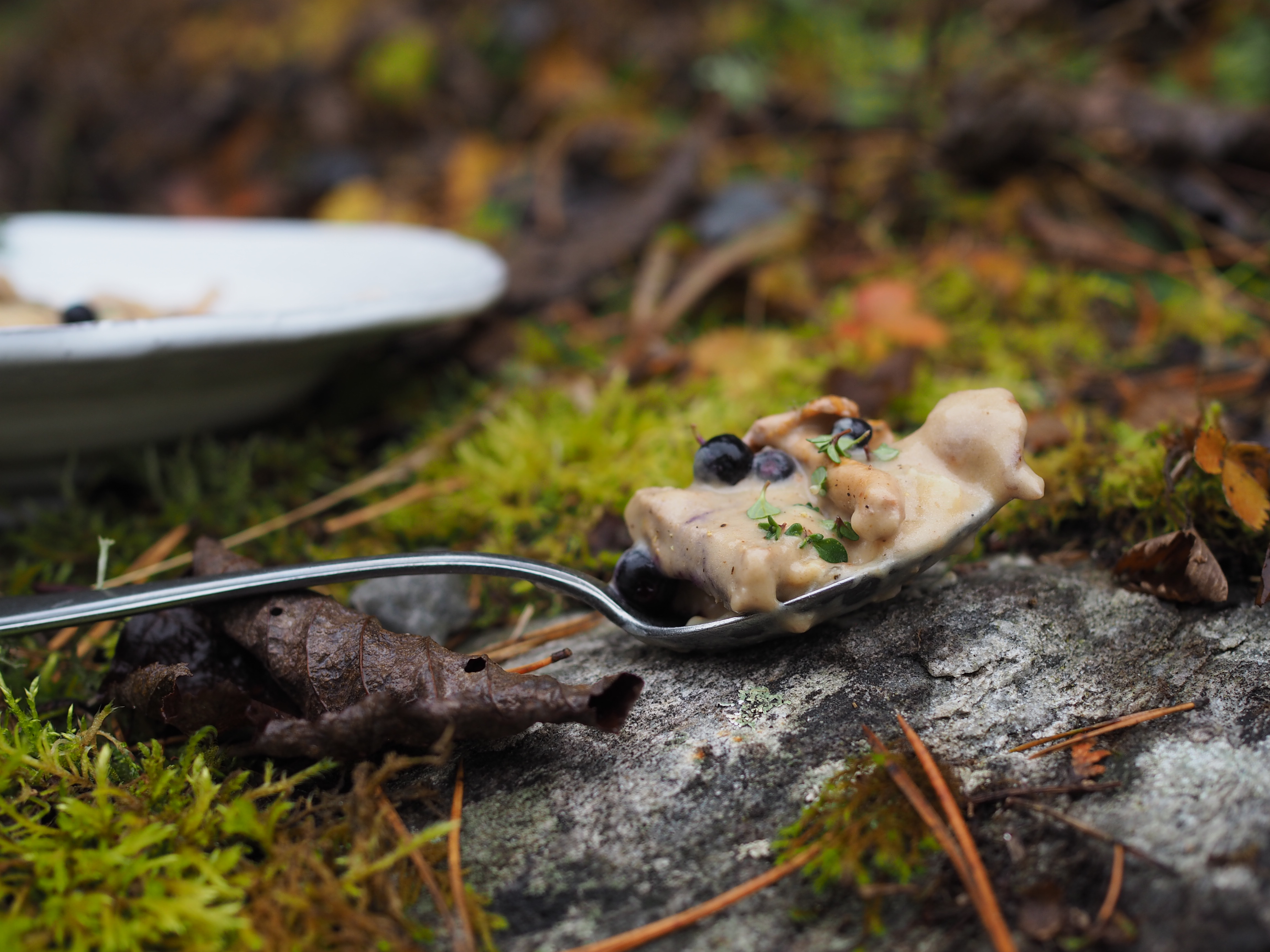 Norwegian Moose Stew (Elggryte)