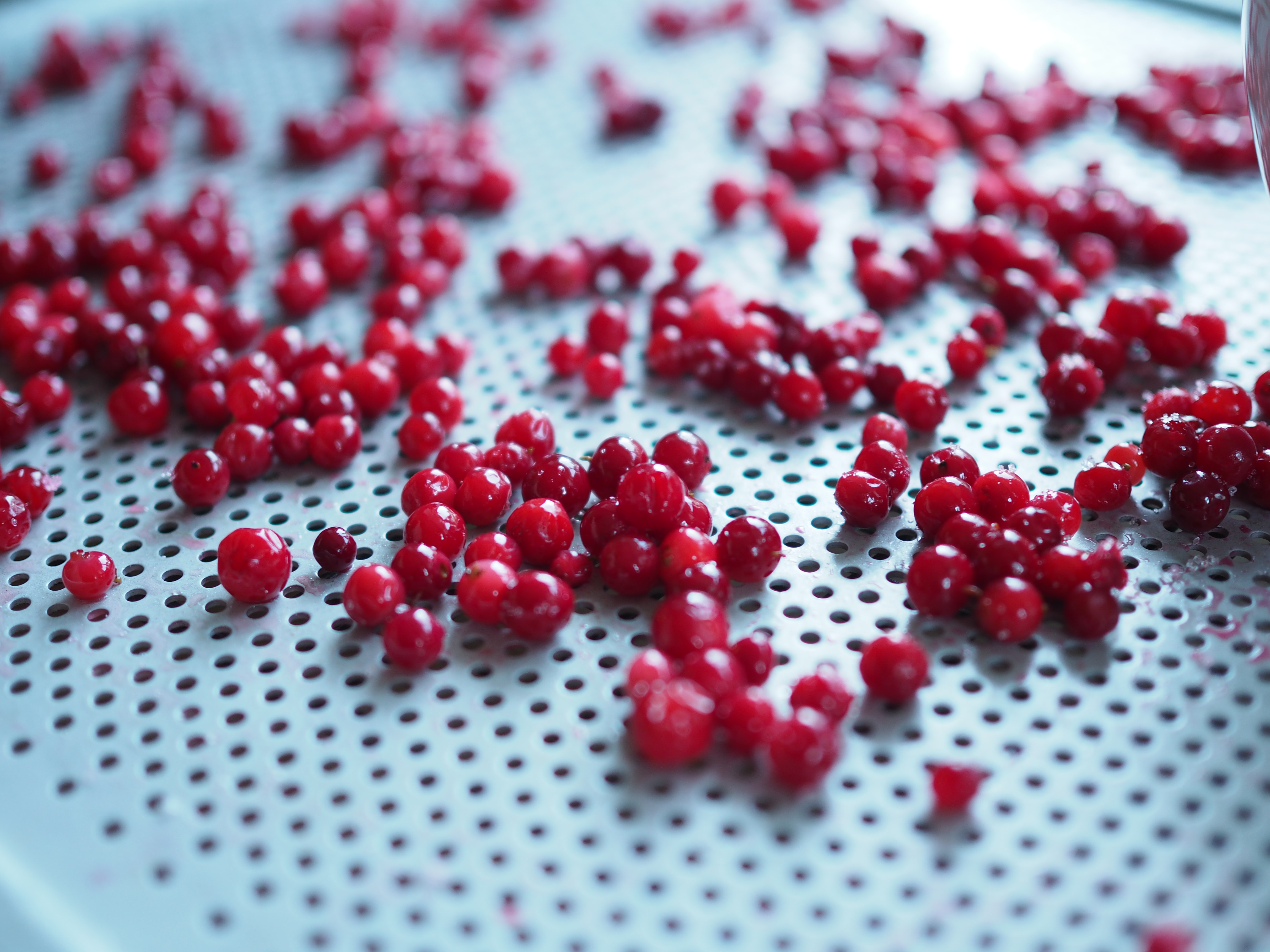 Bløtkake med Tyttebaer (Norwegian Layer Cake with Lingonberries)