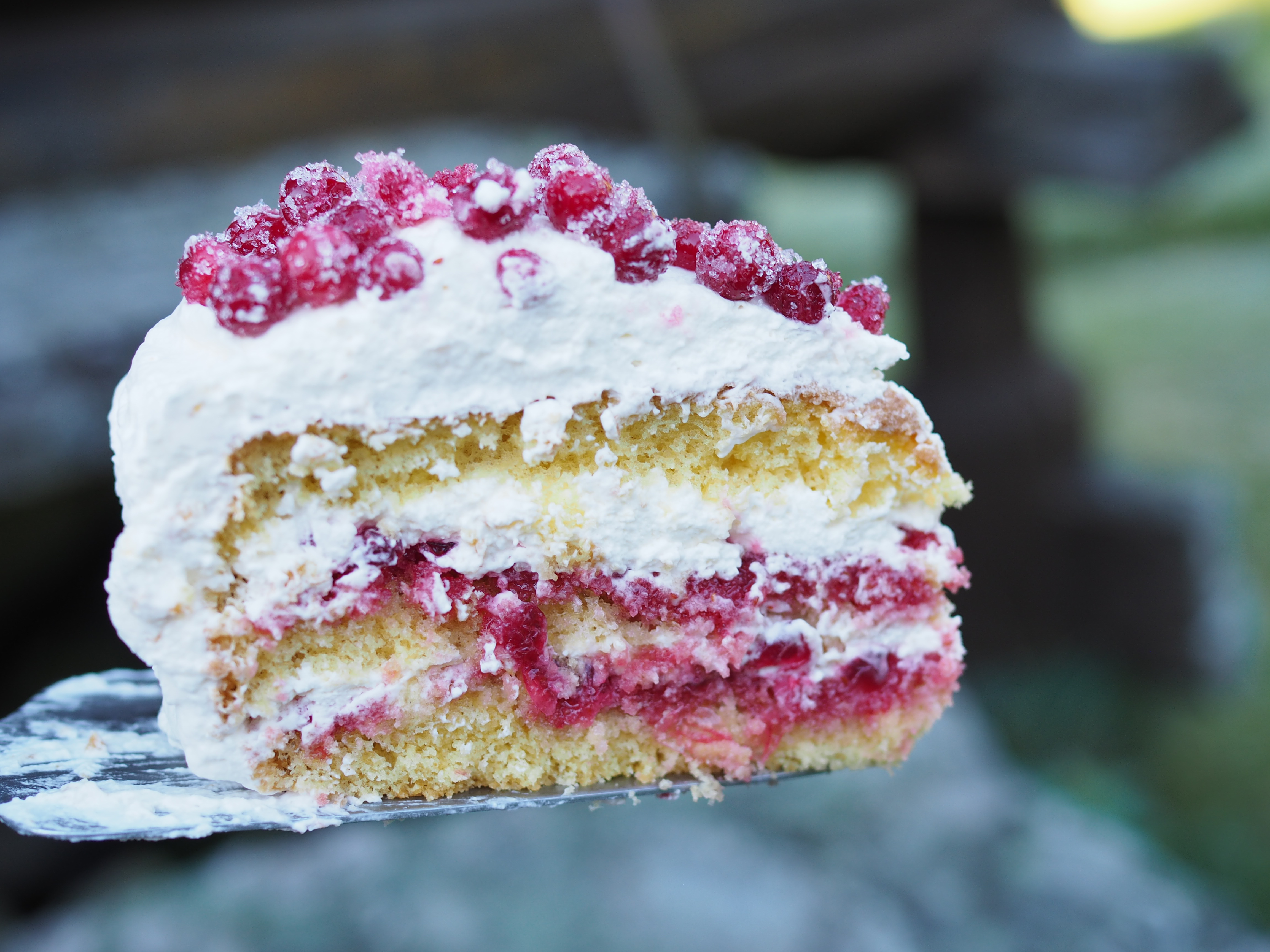 Bløtkake med Tyttebaer (Norwegian Layer Cake with Lingonberries)