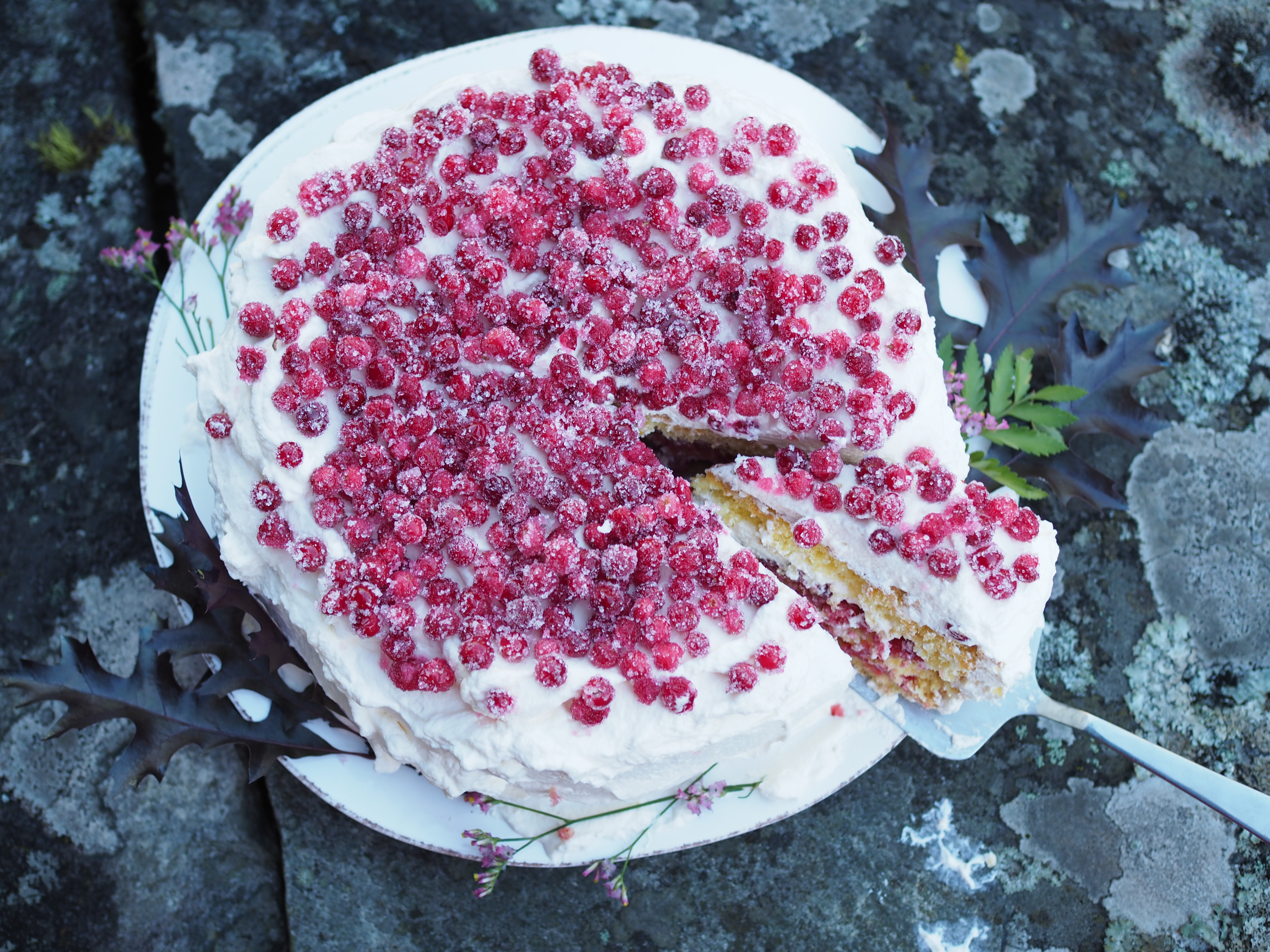 Bløtkake med Tyttebaer (Norwegian Layer Cake with Lingonberries)
